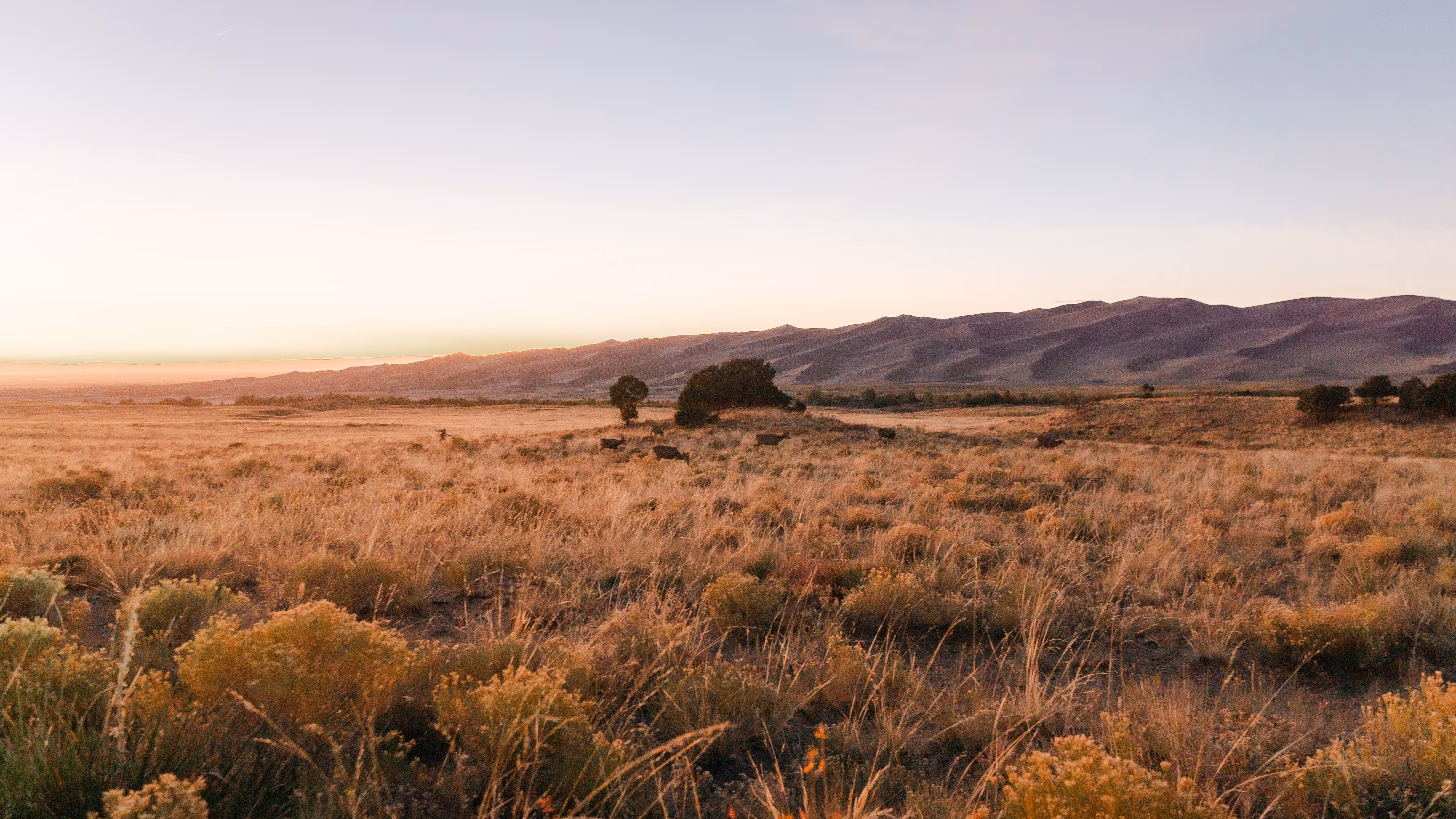 Colorado Landscapes  #16
