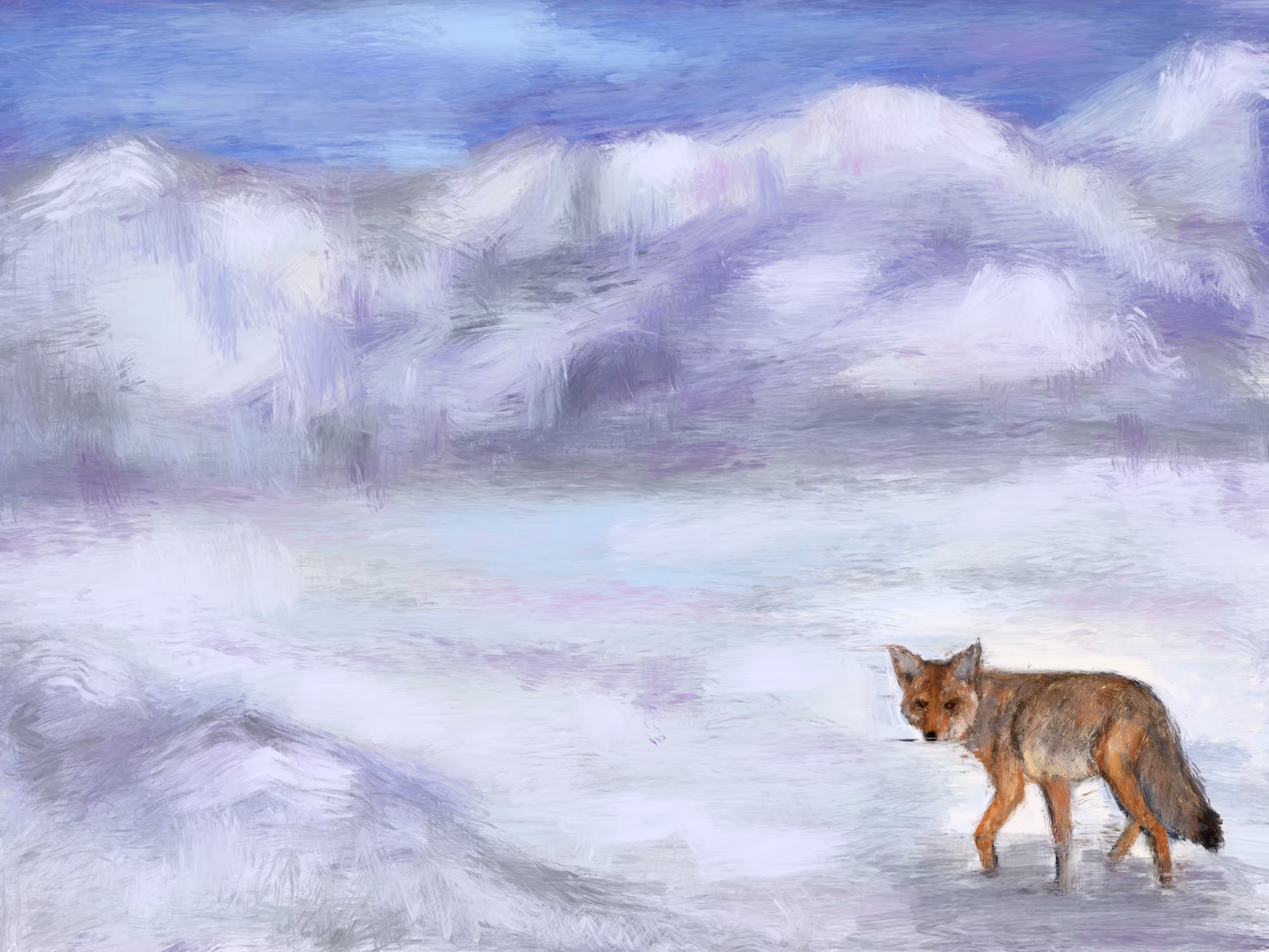 Winter