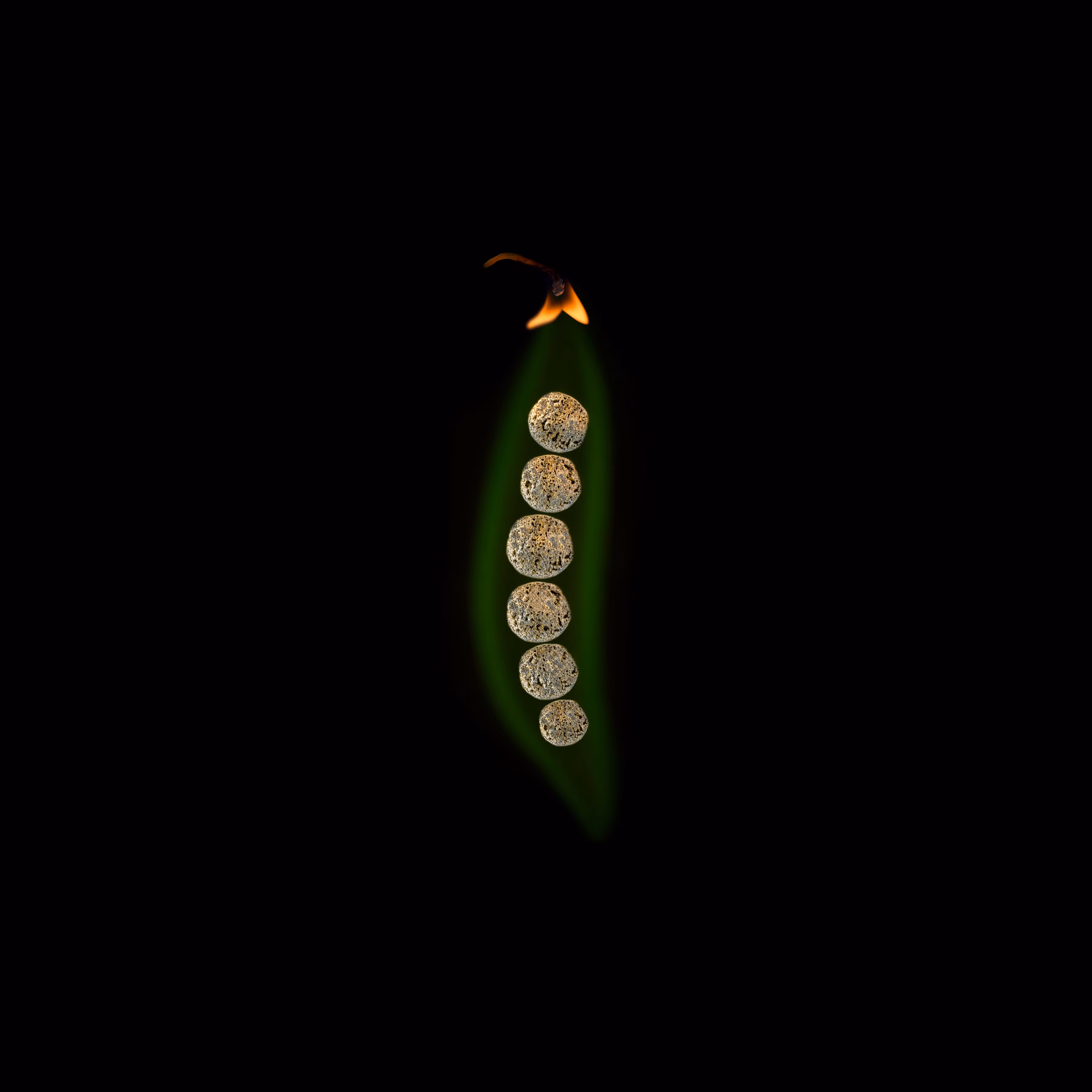 #49 - Pea