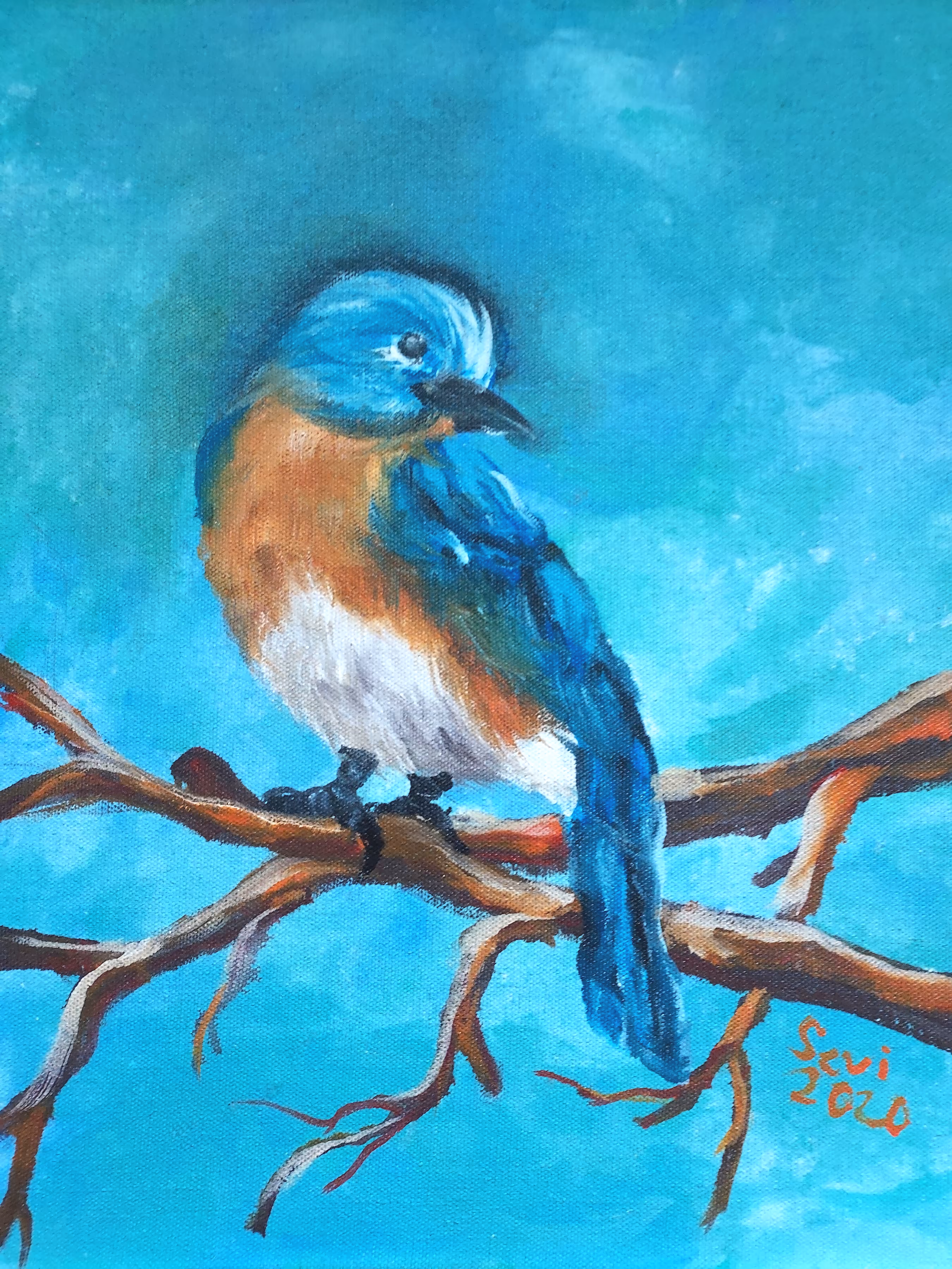 Bluebird