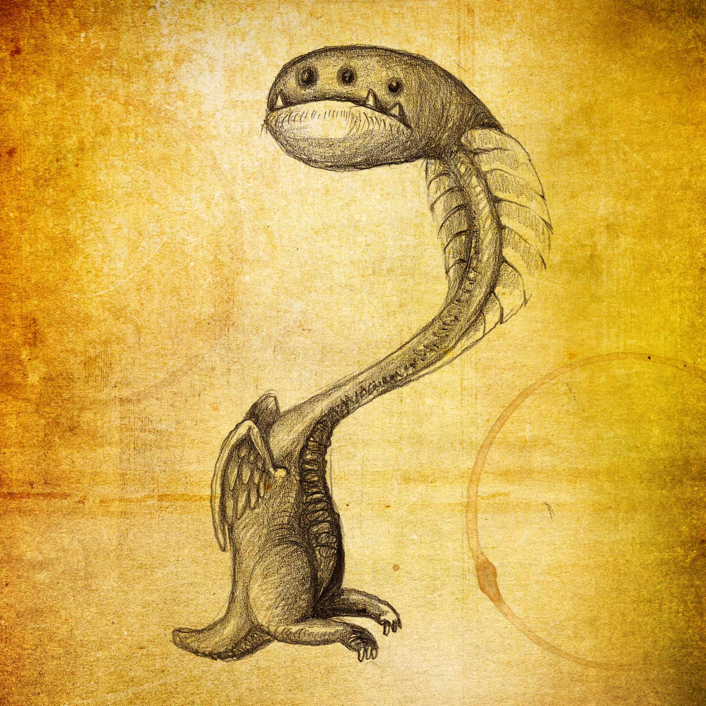 Curious Creature No. 03