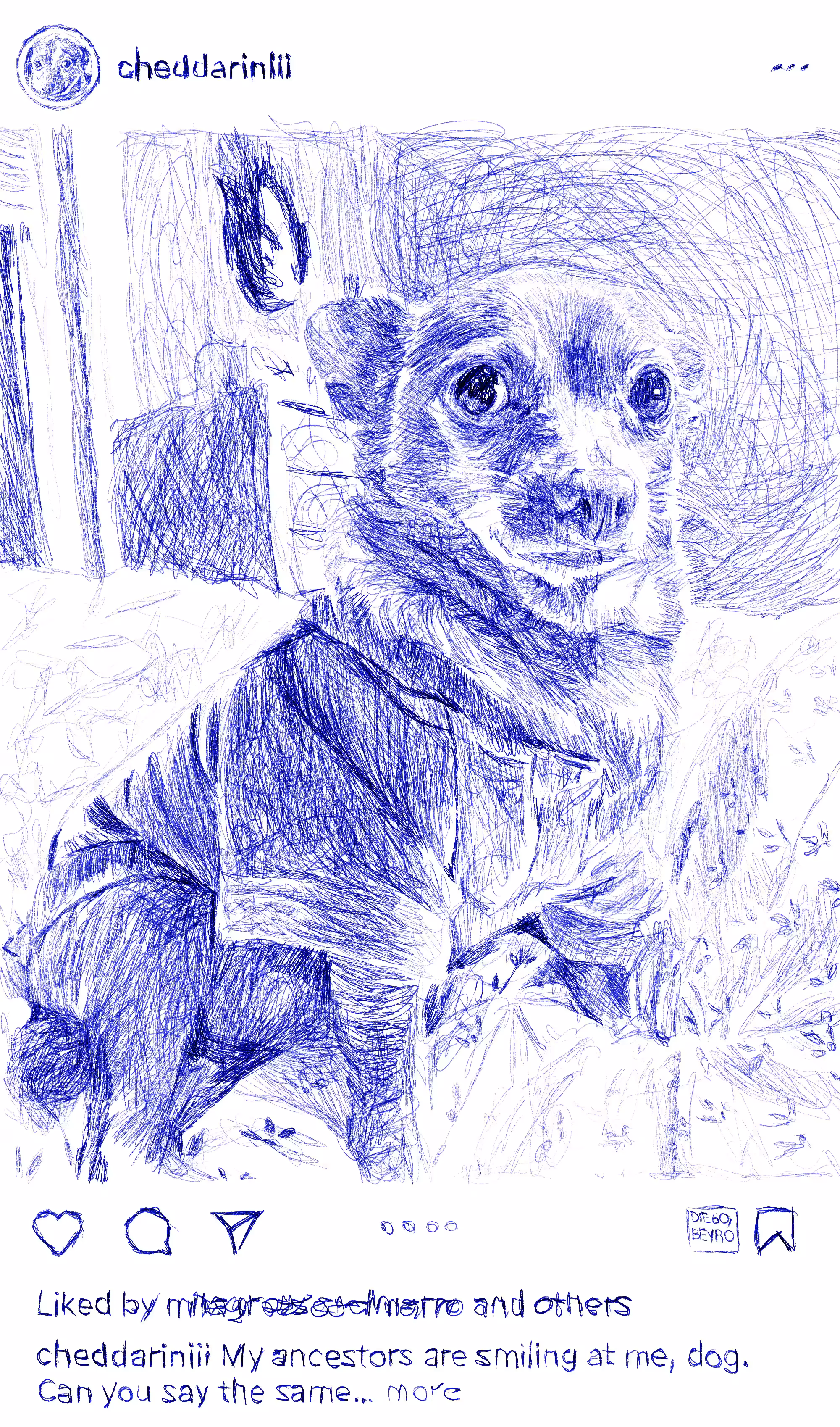 Pets of the internet