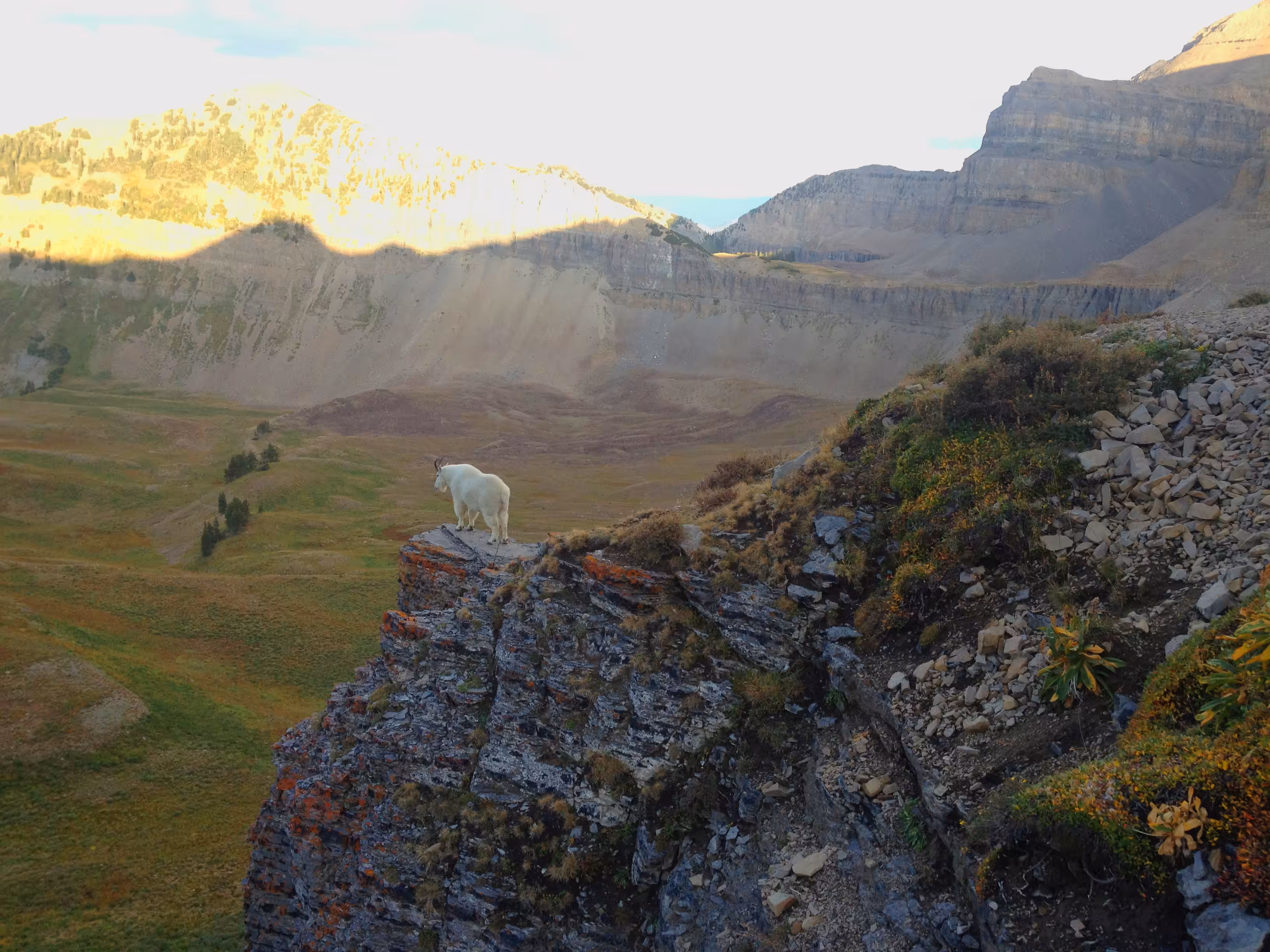 10,000 ft Above the Sea