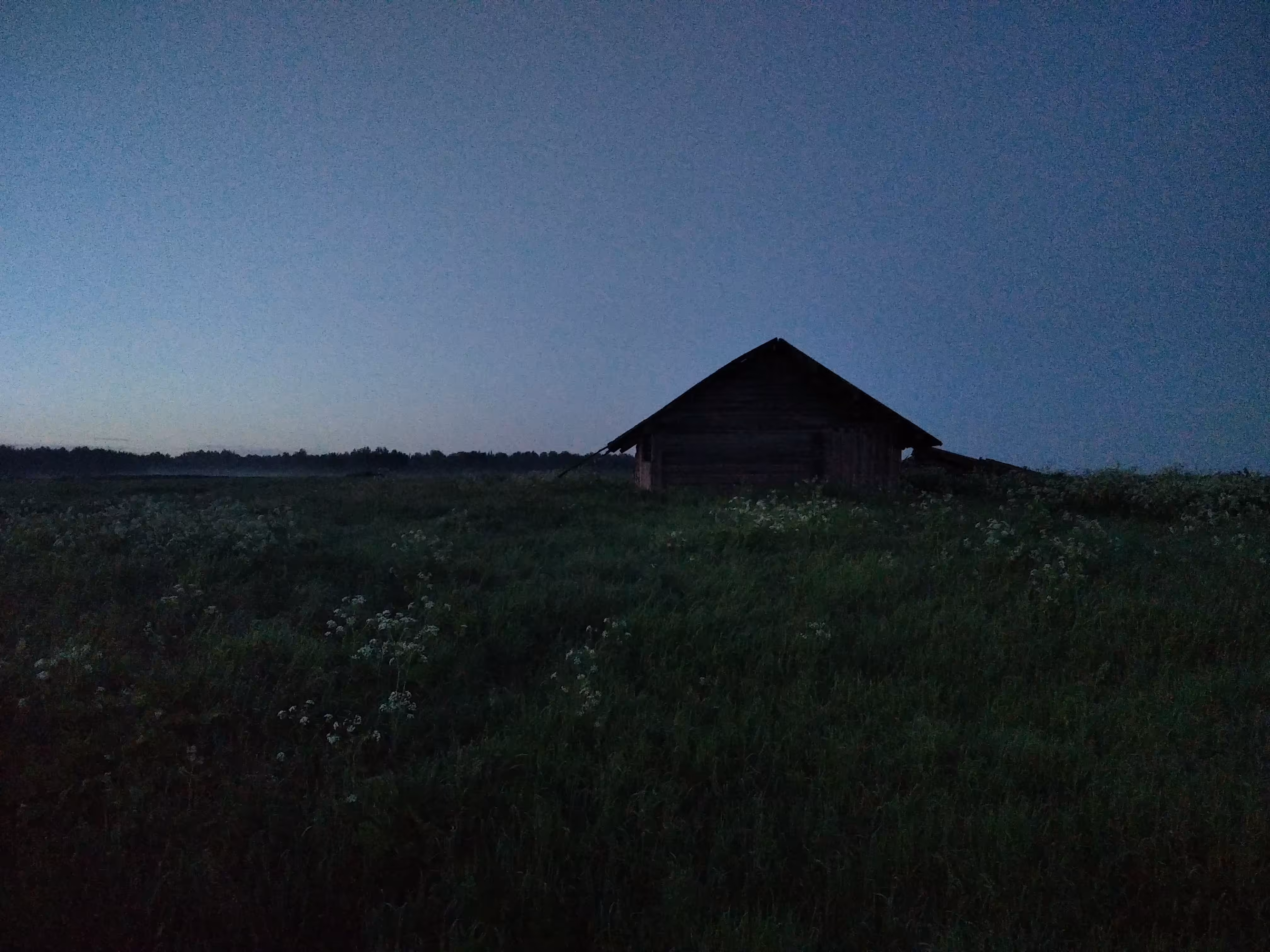 Alone in the field - not a warrior