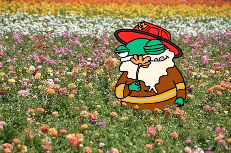 Zen Rizzle