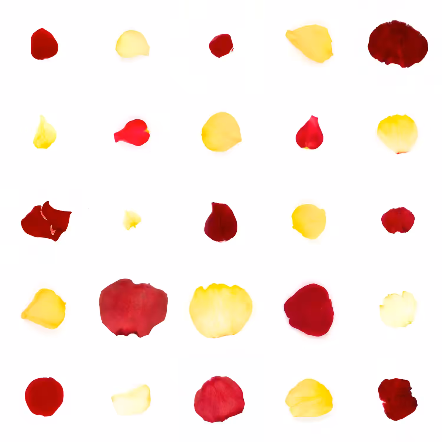 Infinite Petals 5x5#2344