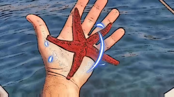 The Starfisf