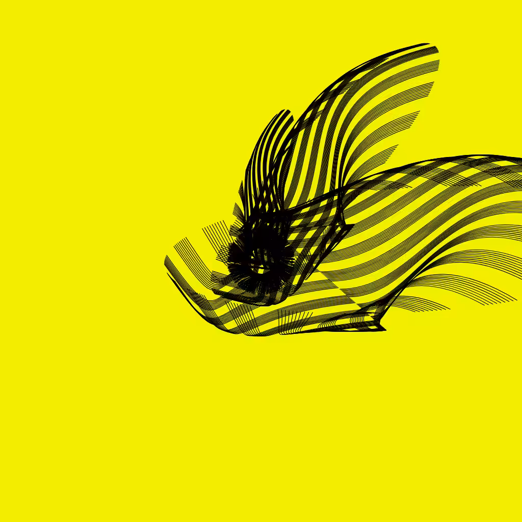 ANATOMY of a rabbit but bird #23