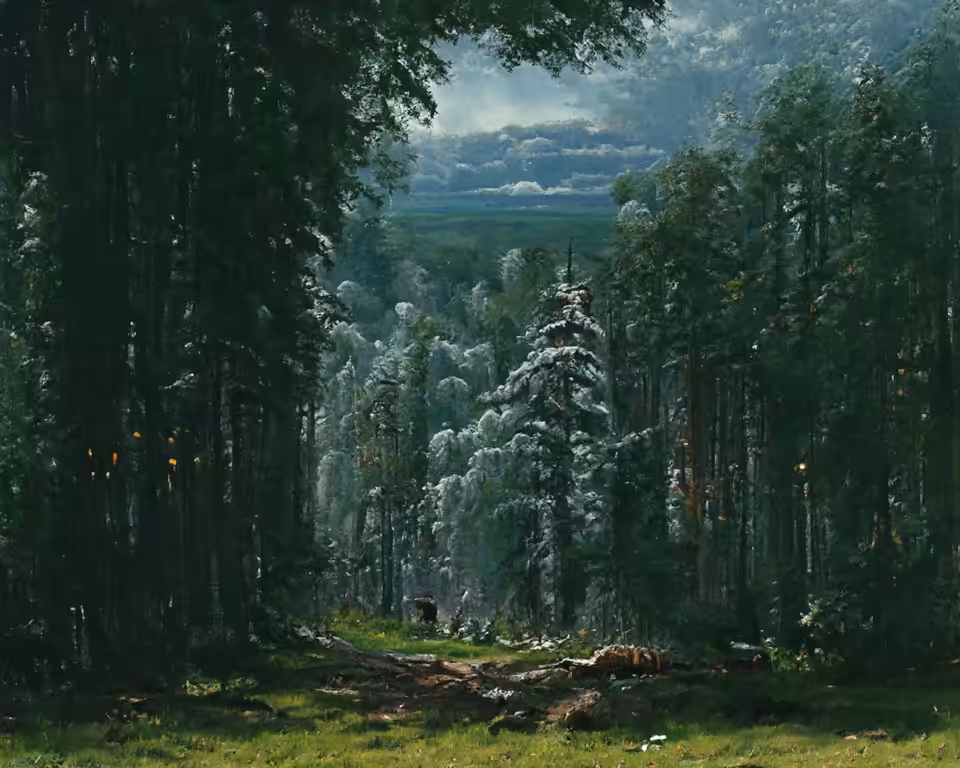 Wild Forest
