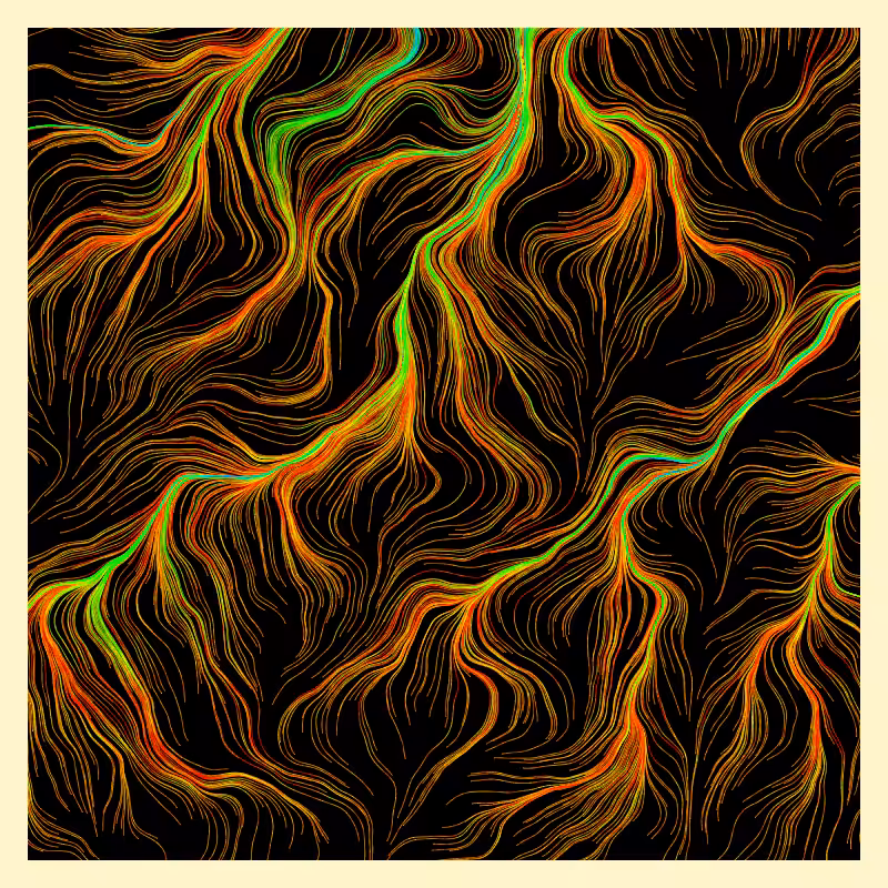 Roots #23