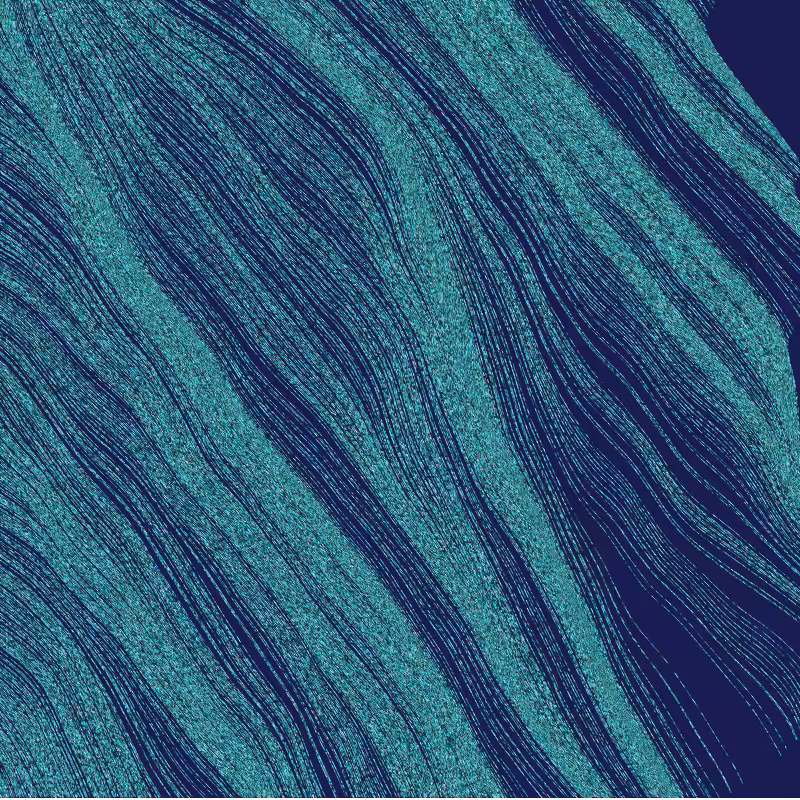 Dune #4
