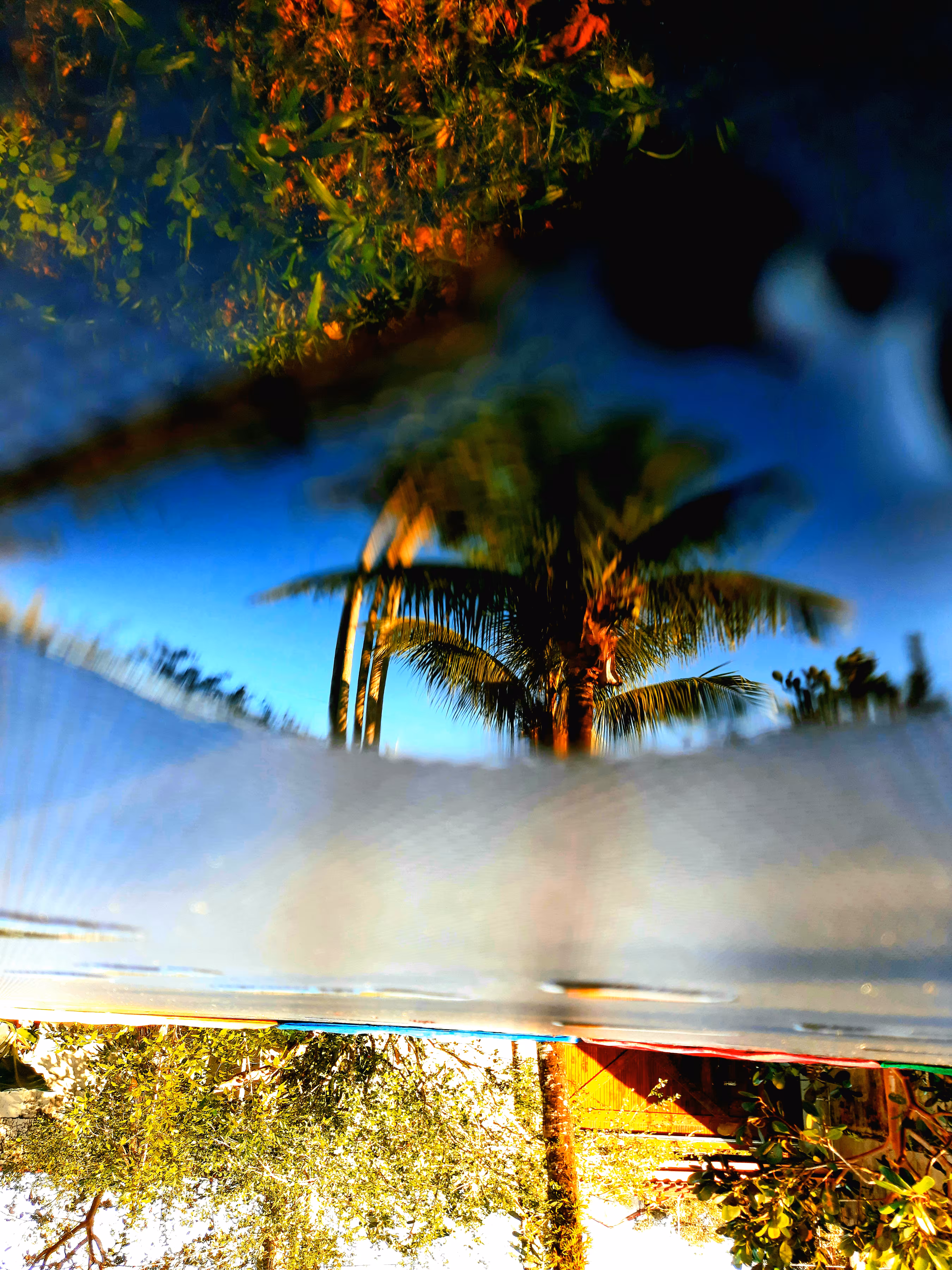 Abstract-Nature#9