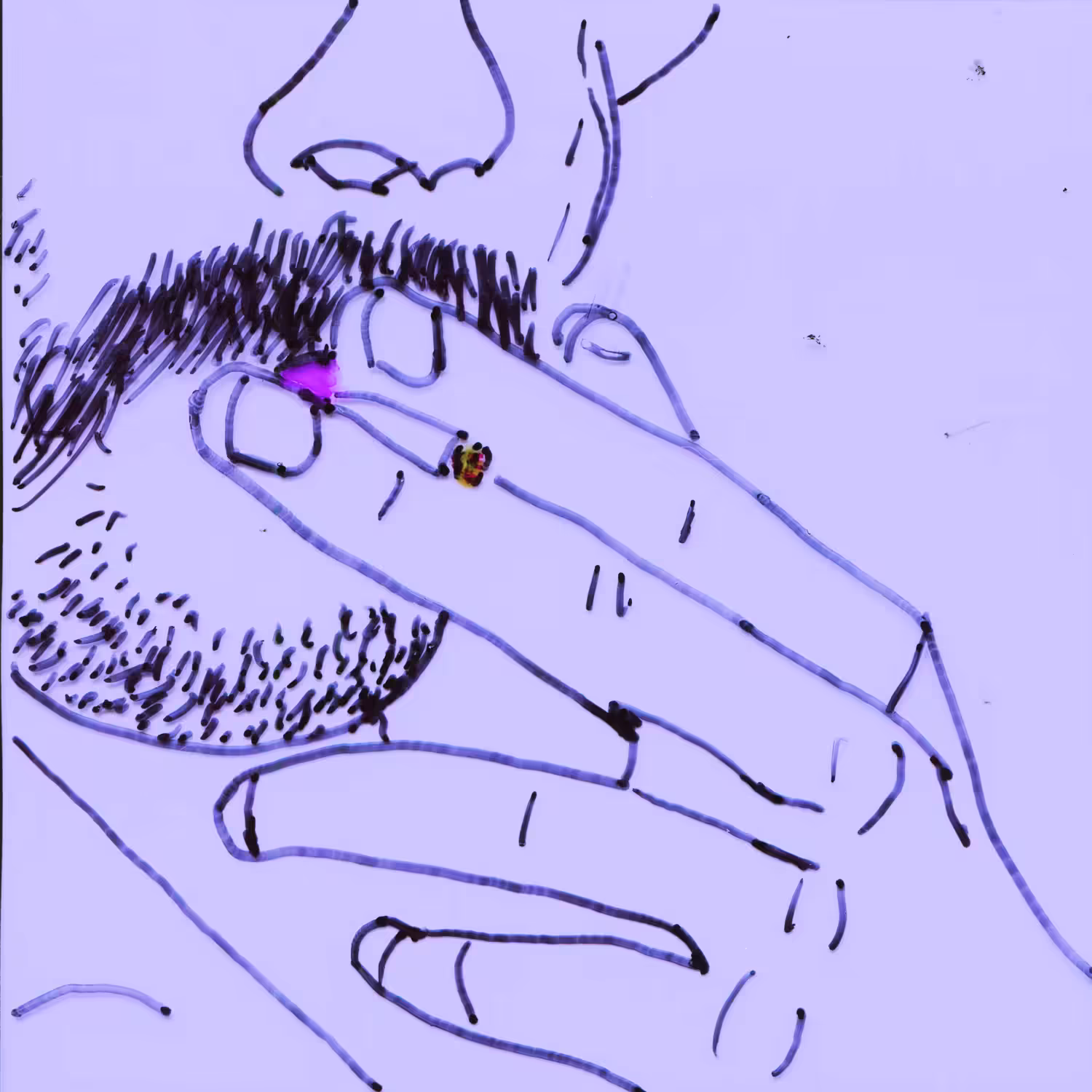 Don't go around
