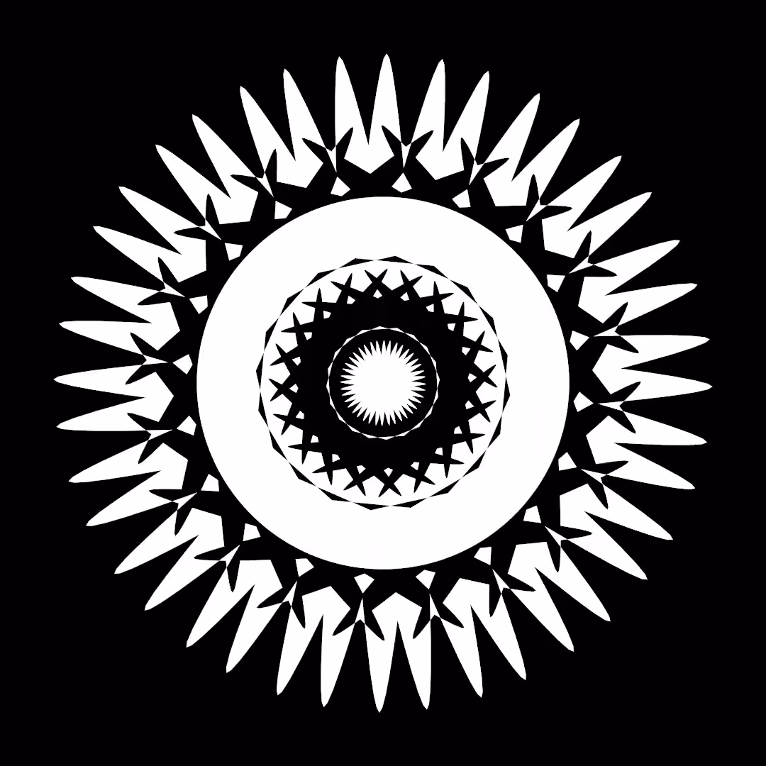 Kaleidoscopic Icosagon
