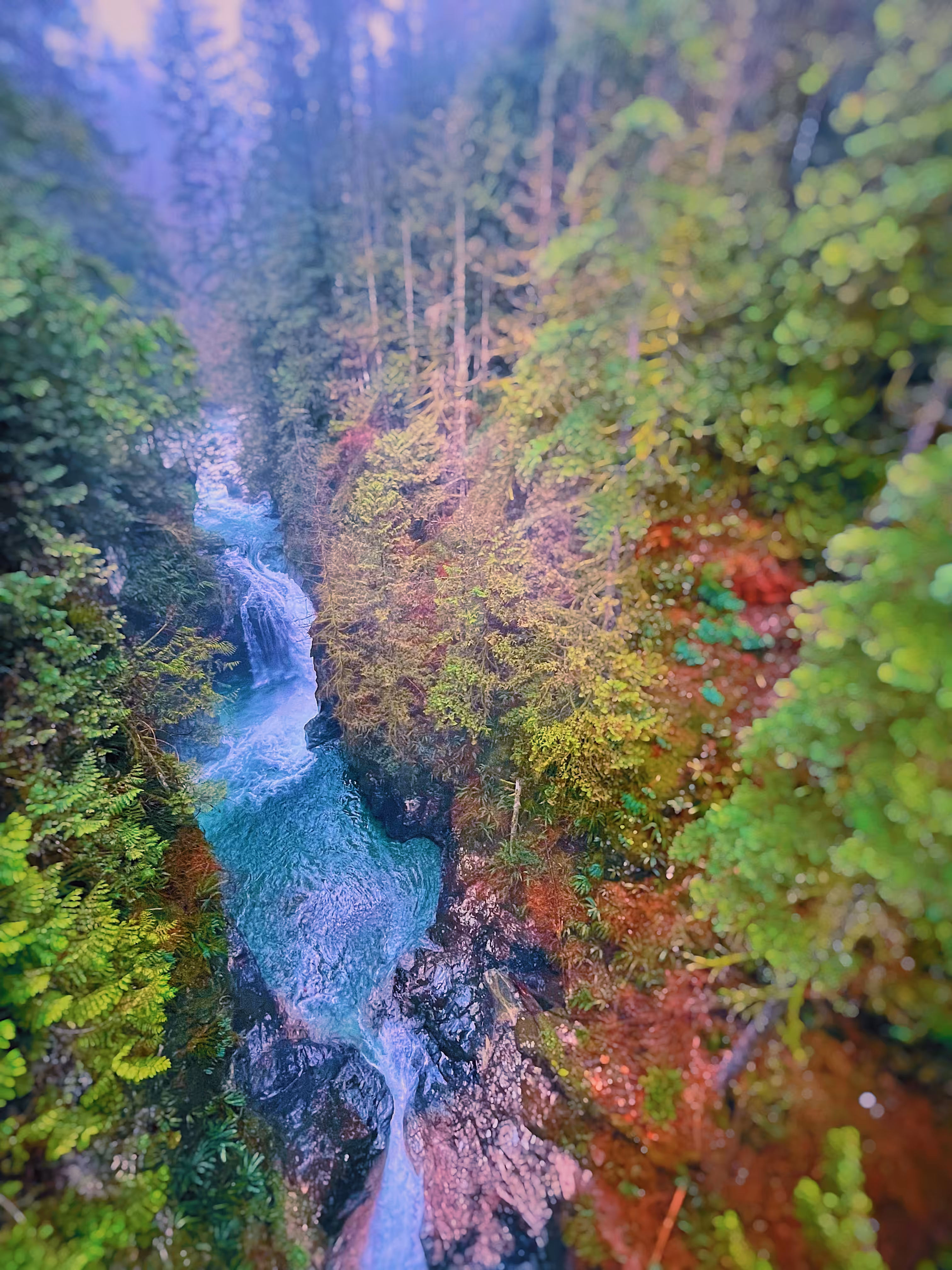 British Columbia Rapids
