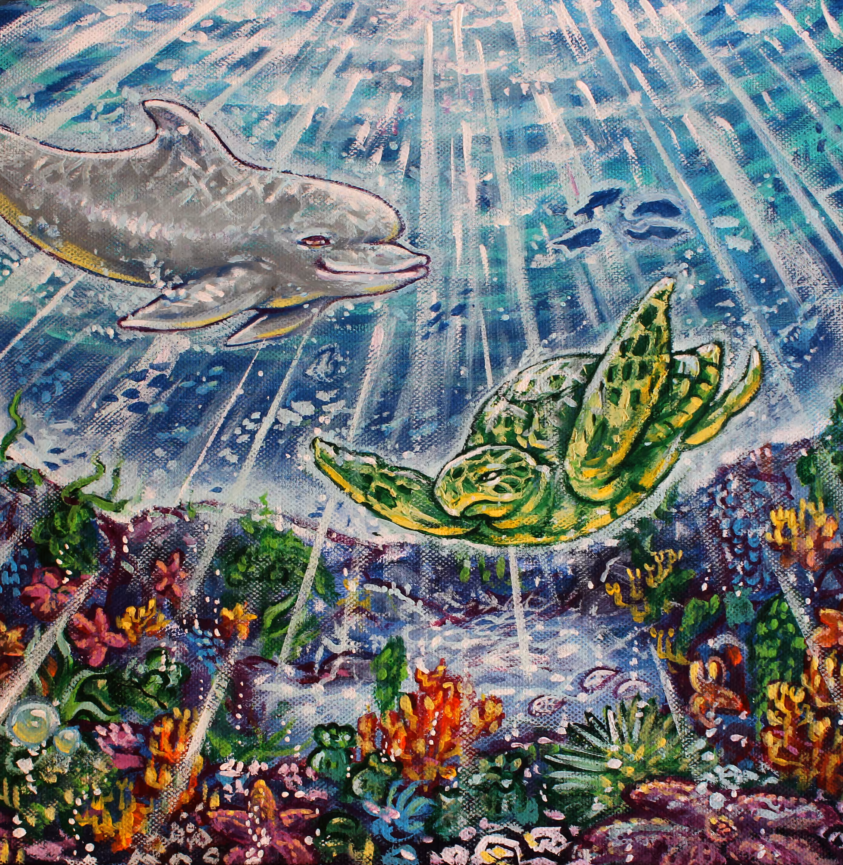 Dolphin Turtle Meetup