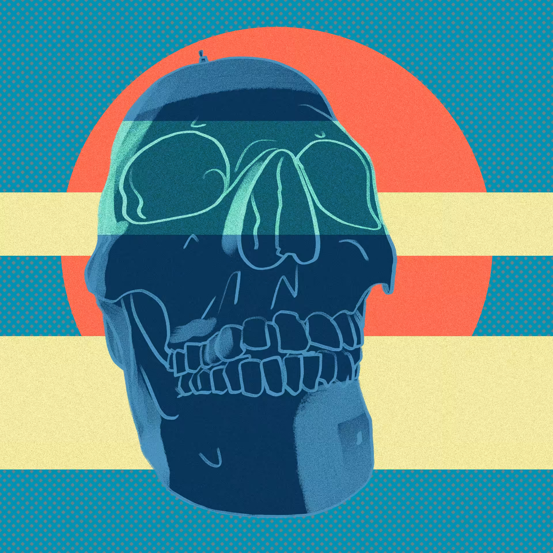 human skull #05