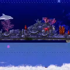 Dive