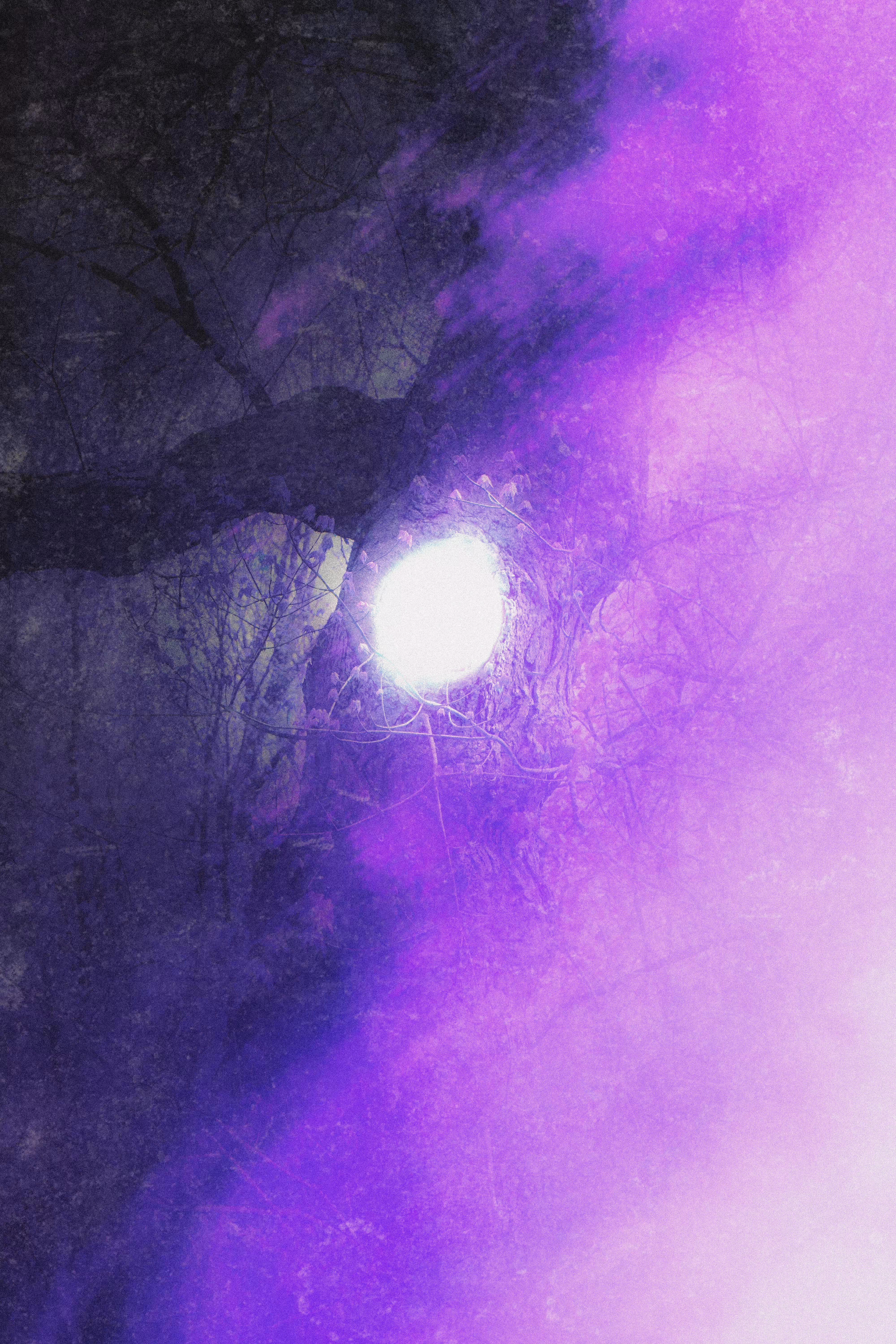 The Gothic Side Of Nature: Beyond The Veil Of The Violet Light