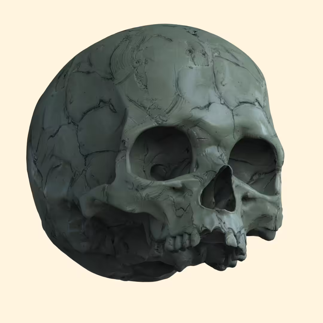 Skulpt 02