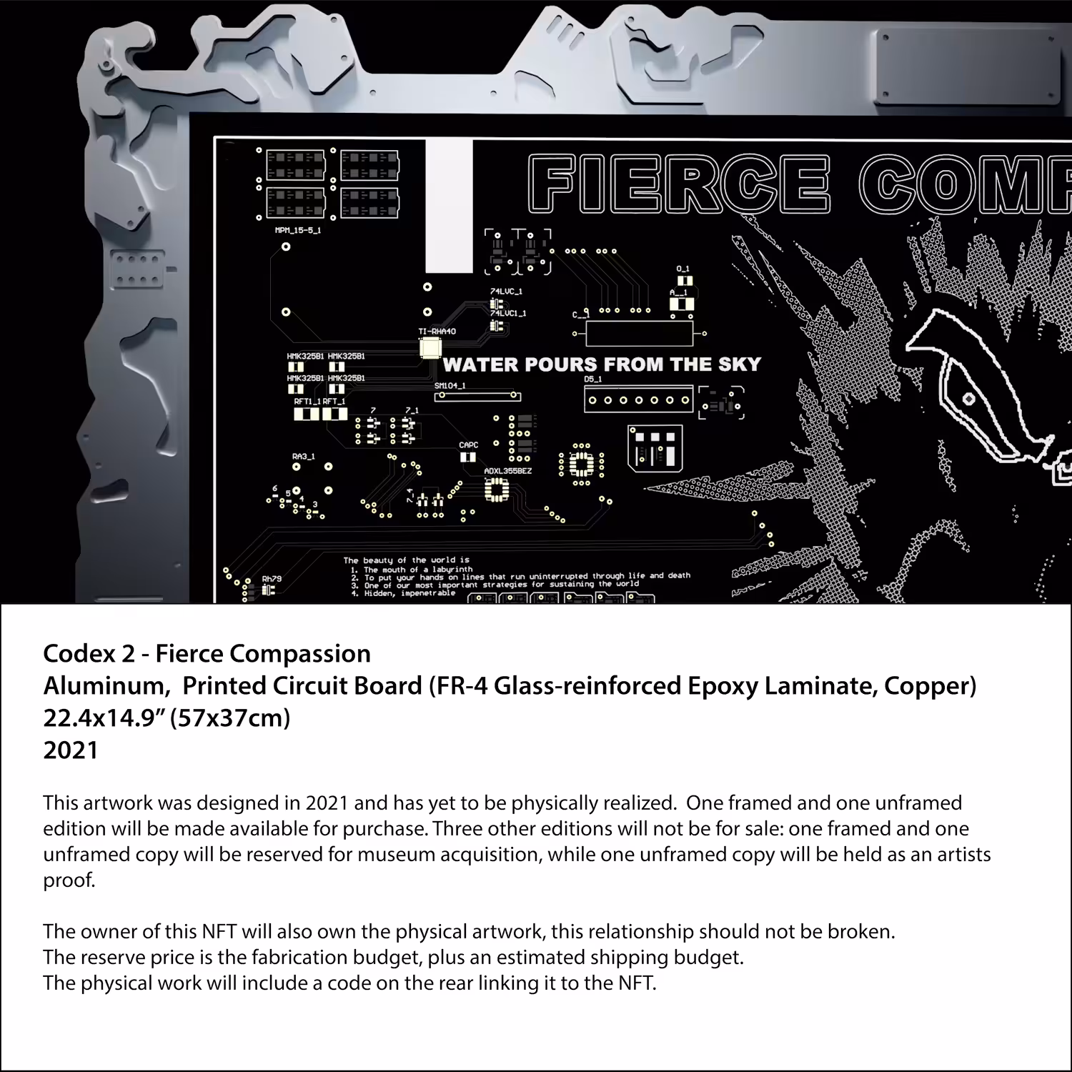 Codex 2 - Fierce Compassion
