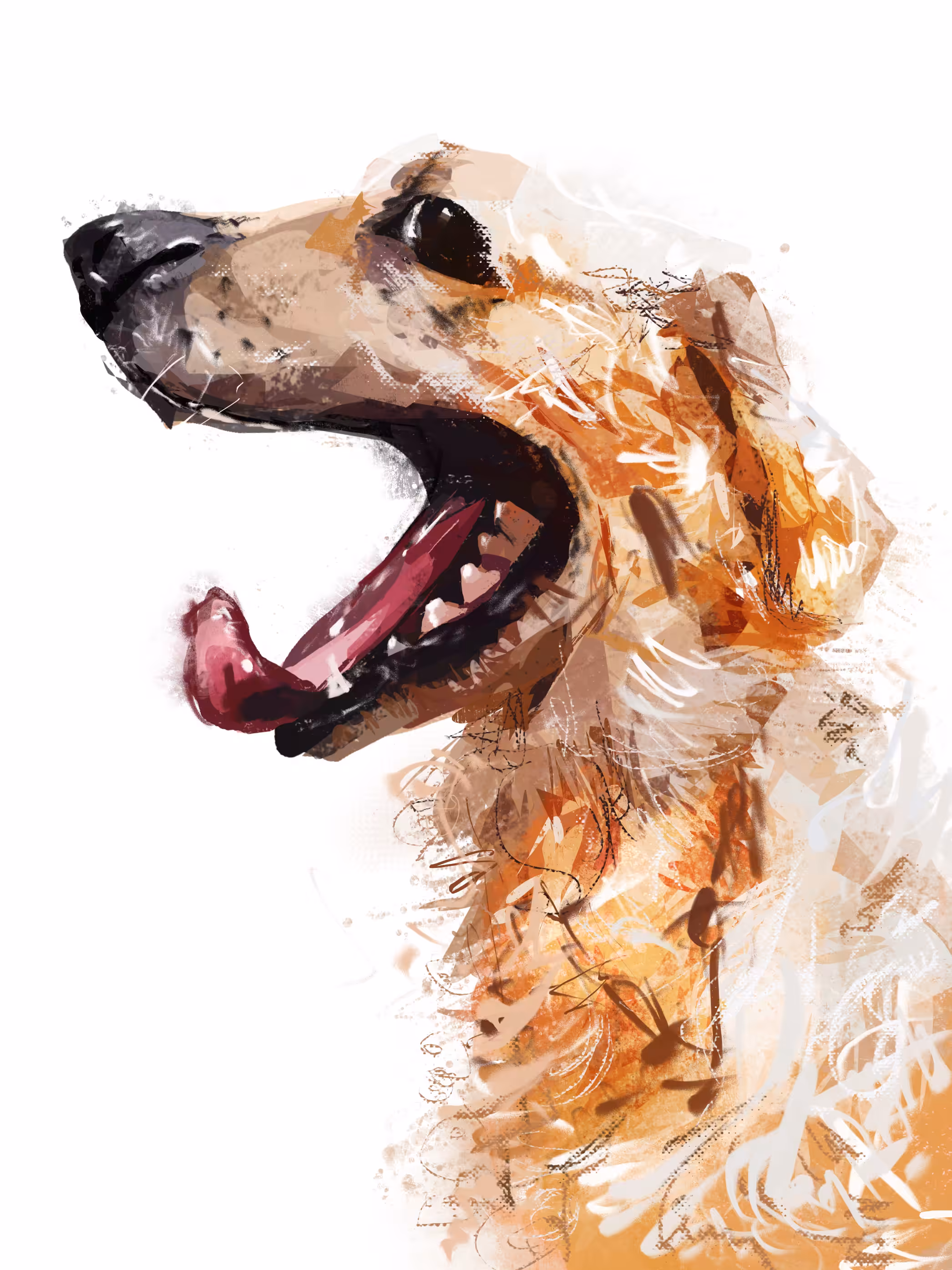 Woof