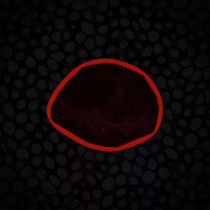 Protista #23