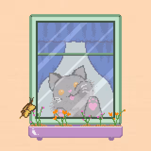 Window Catz #12