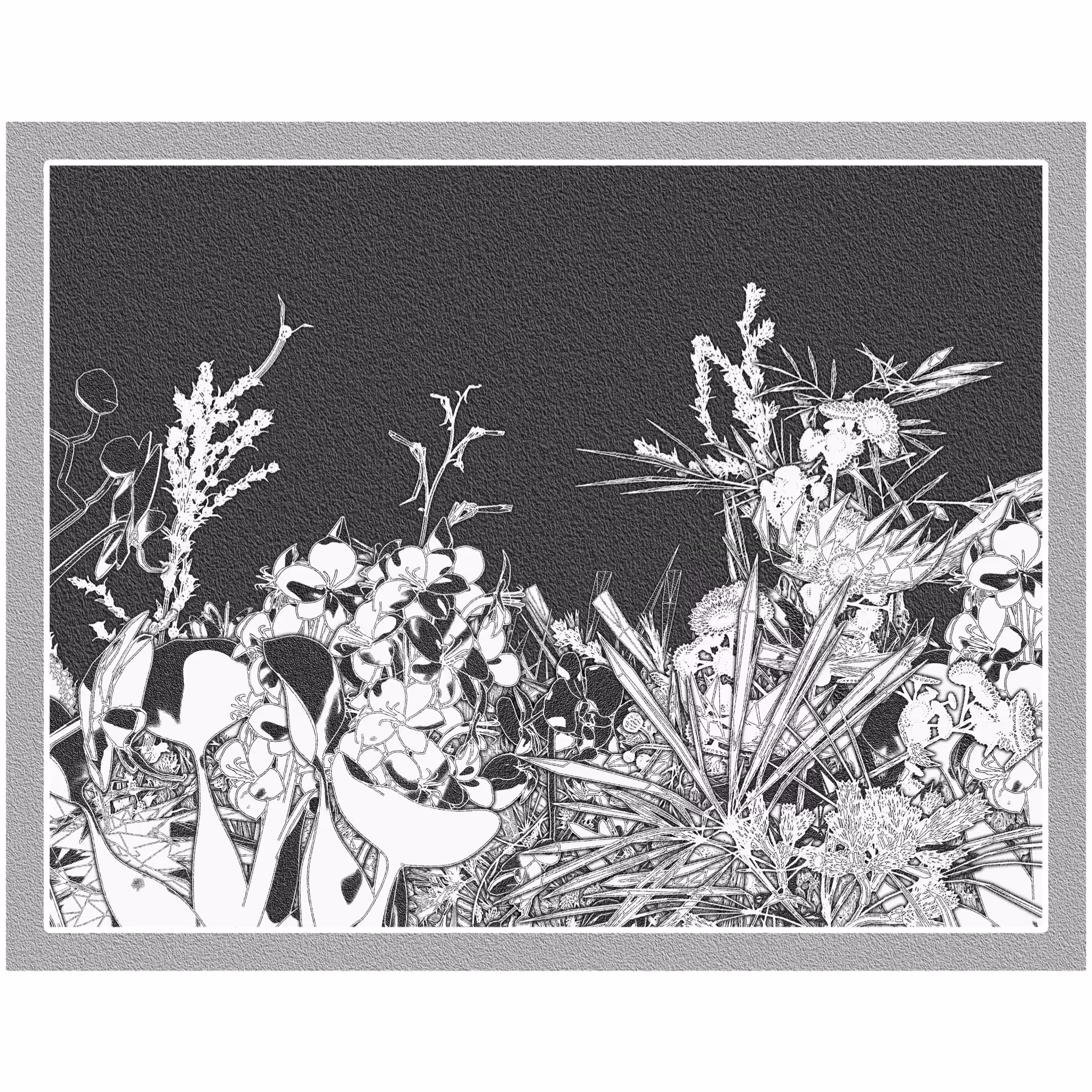 Flower View #12