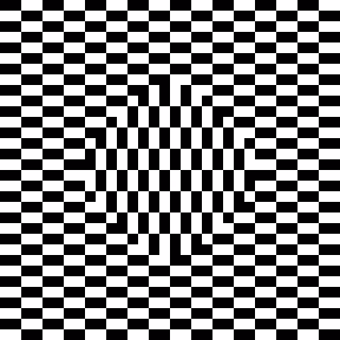 Illusion #4