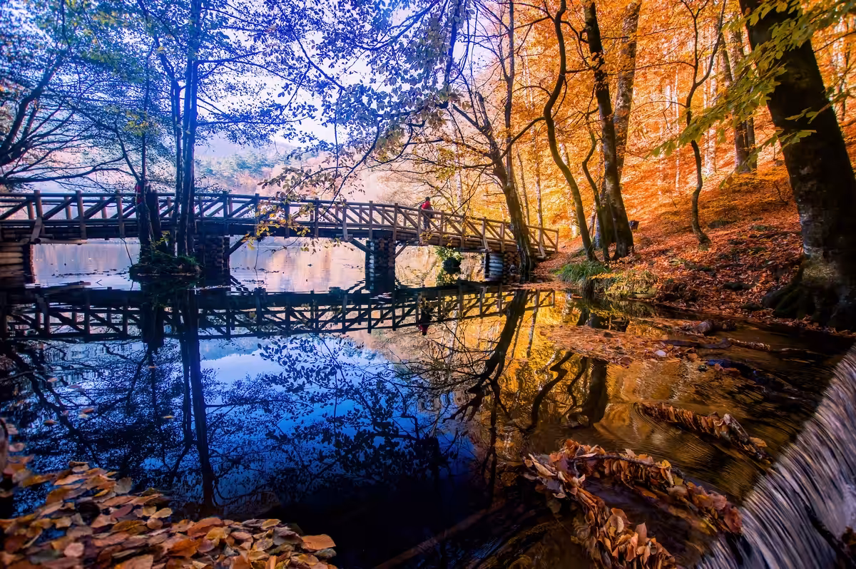 Amazing beauties from nature  