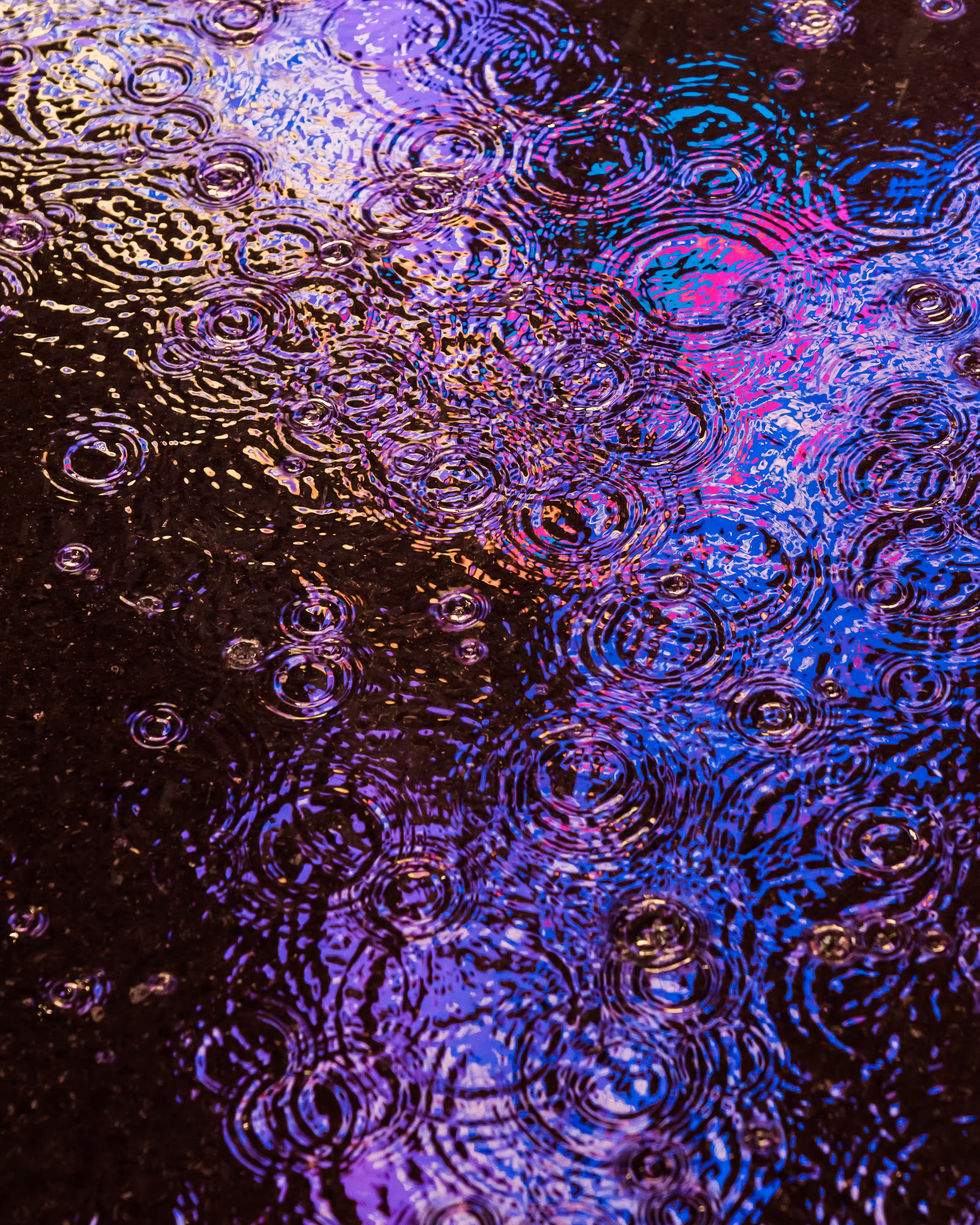 DRIP DROP: DRIP #798