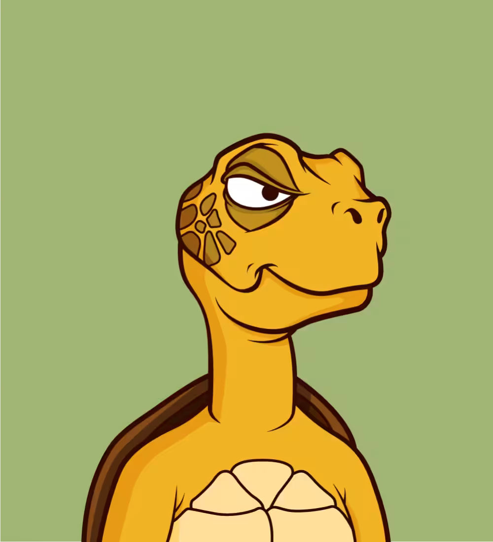 Tiny Turtle 117