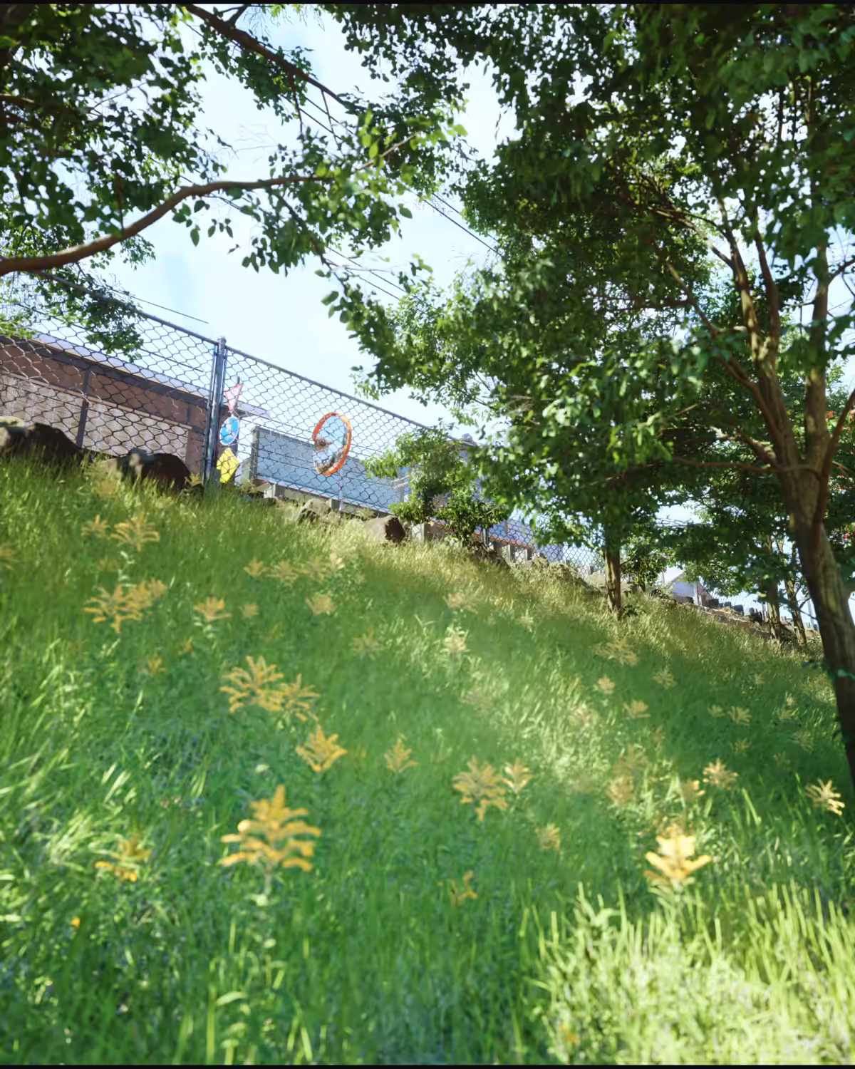 Peaceful Path