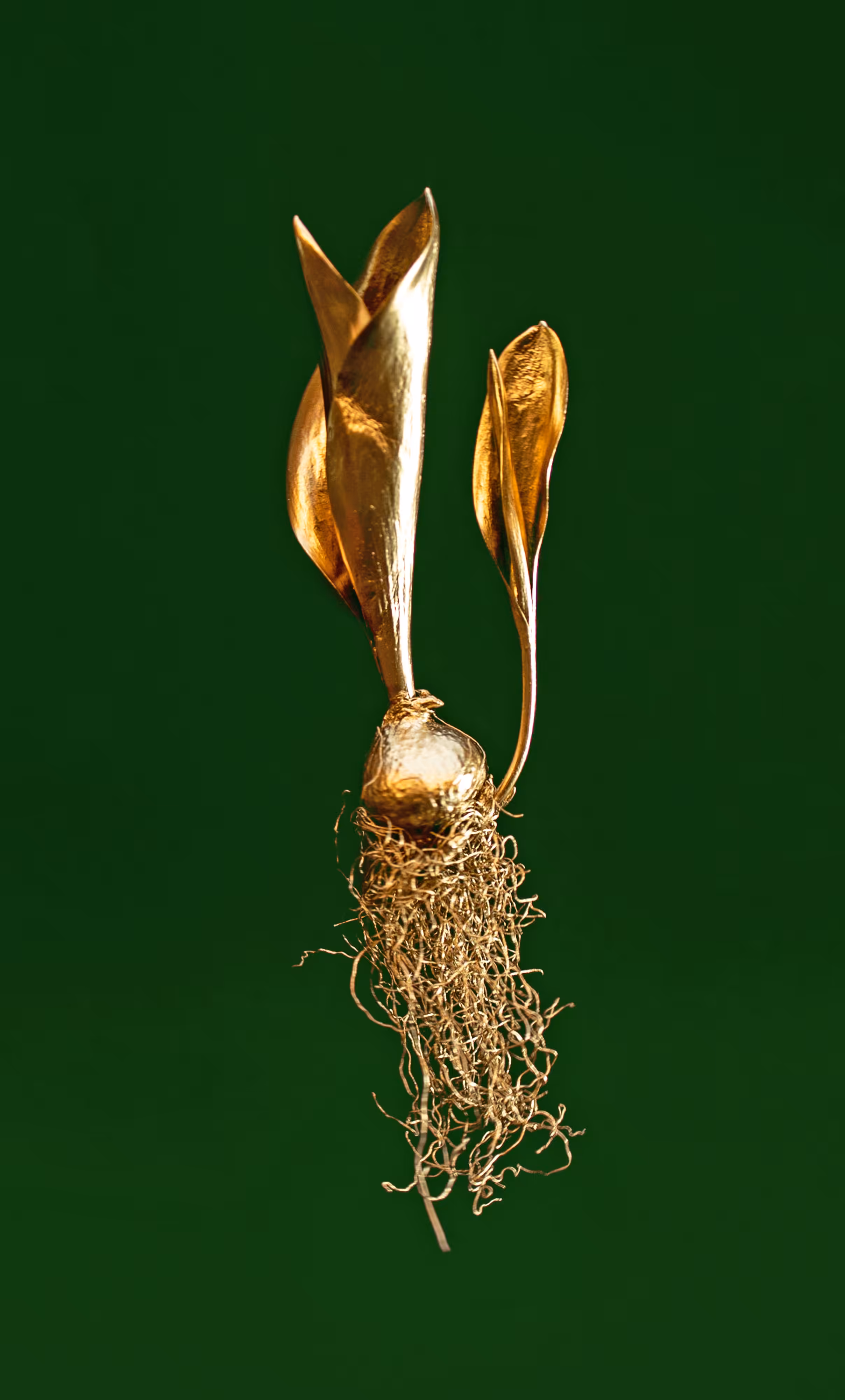 Crypto Tulip - #green3