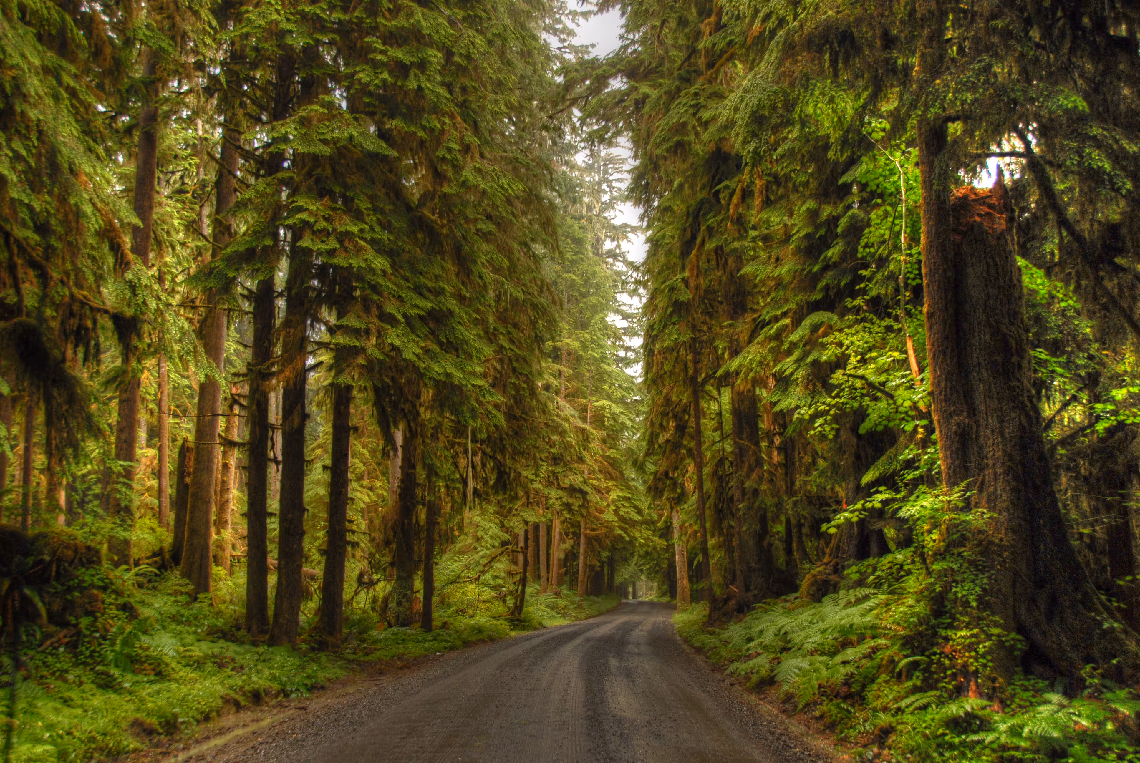 Soft, The Protected Path