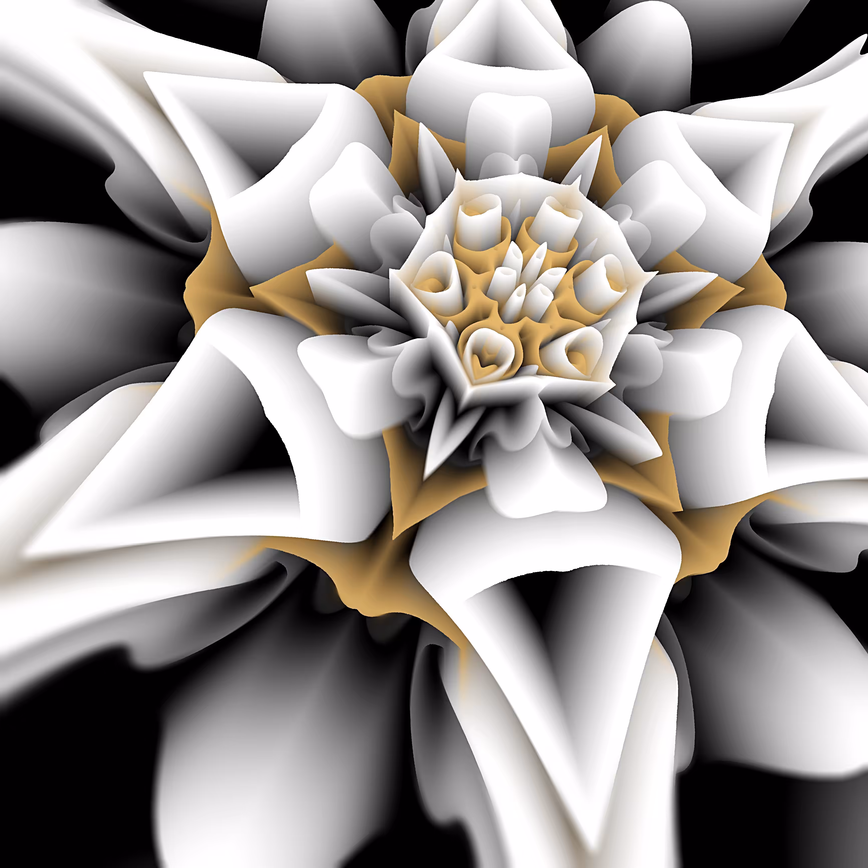 flower 008