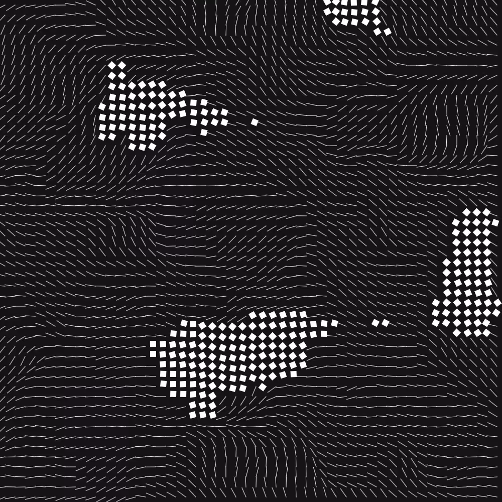 Geometric Fluidity #779