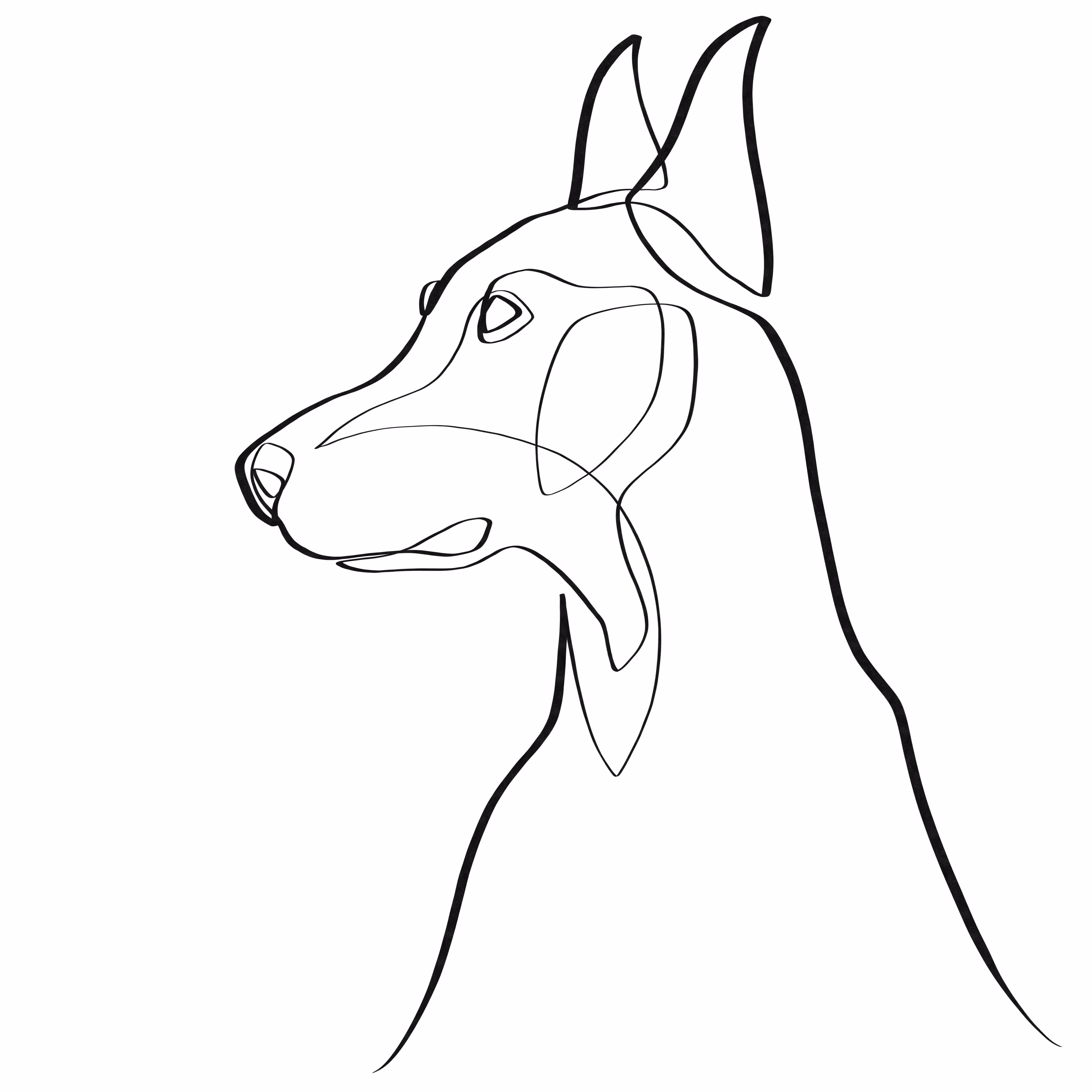 Doberman one line art #5