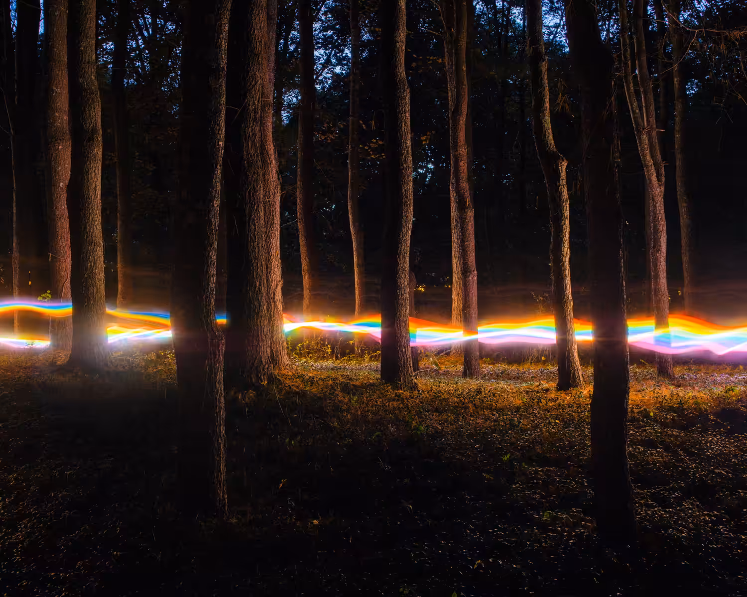 Rainbow Road - Pines