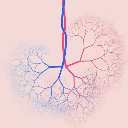 capillary trees #5