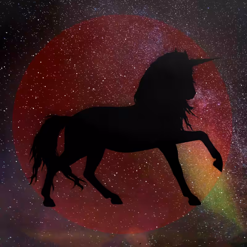 Unicorn #1