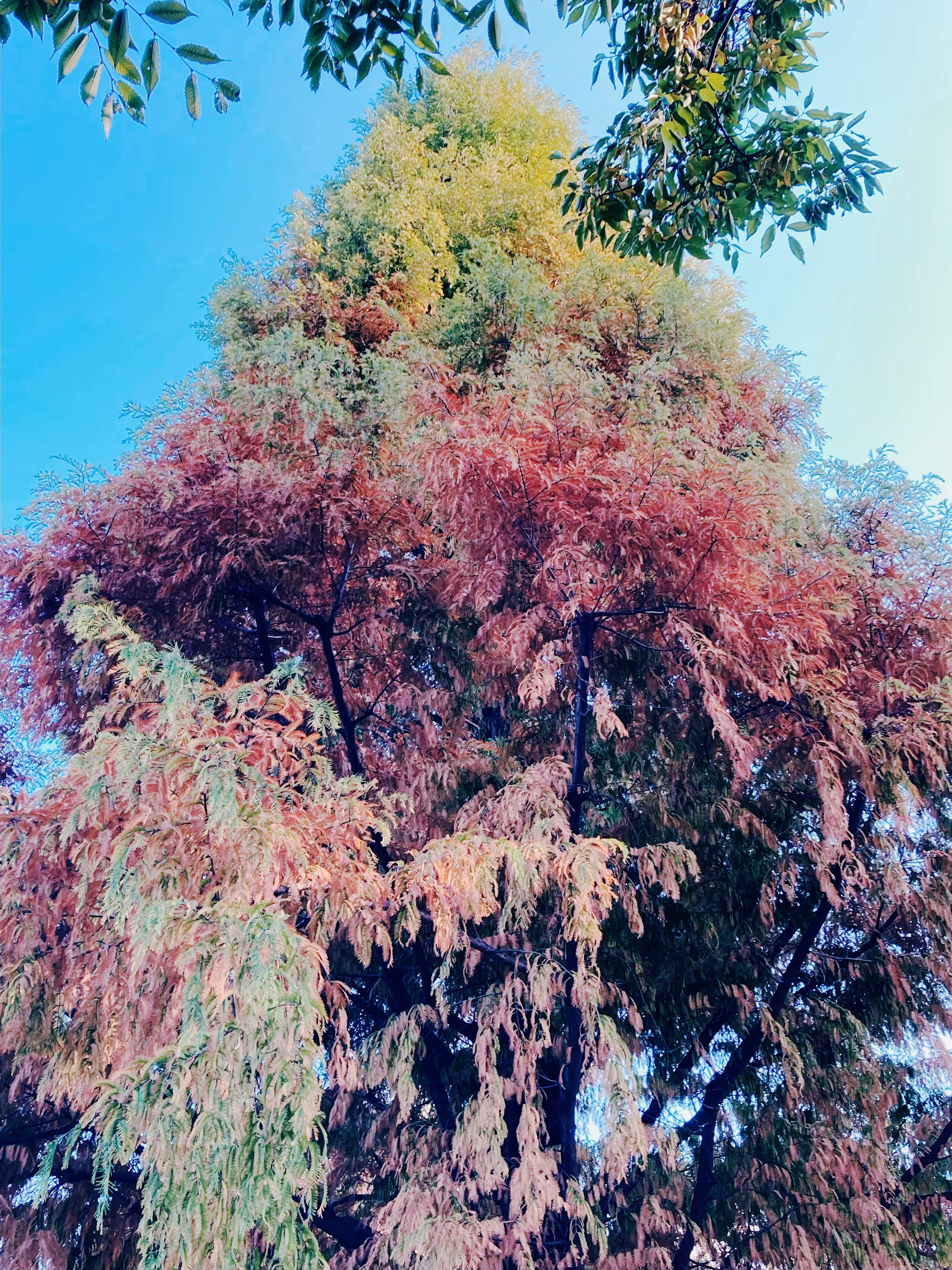2022autumn 012