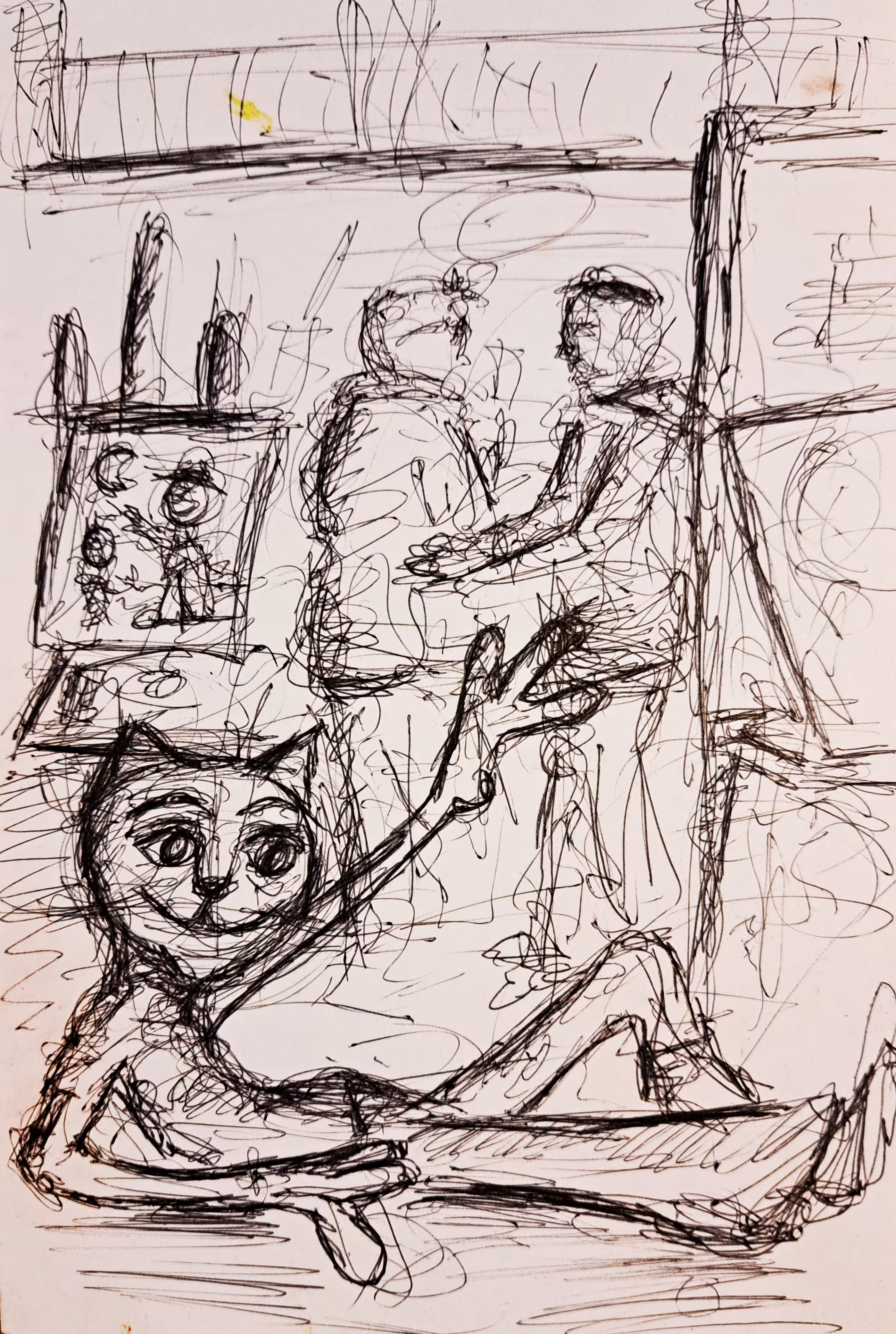 Cat in the Studio