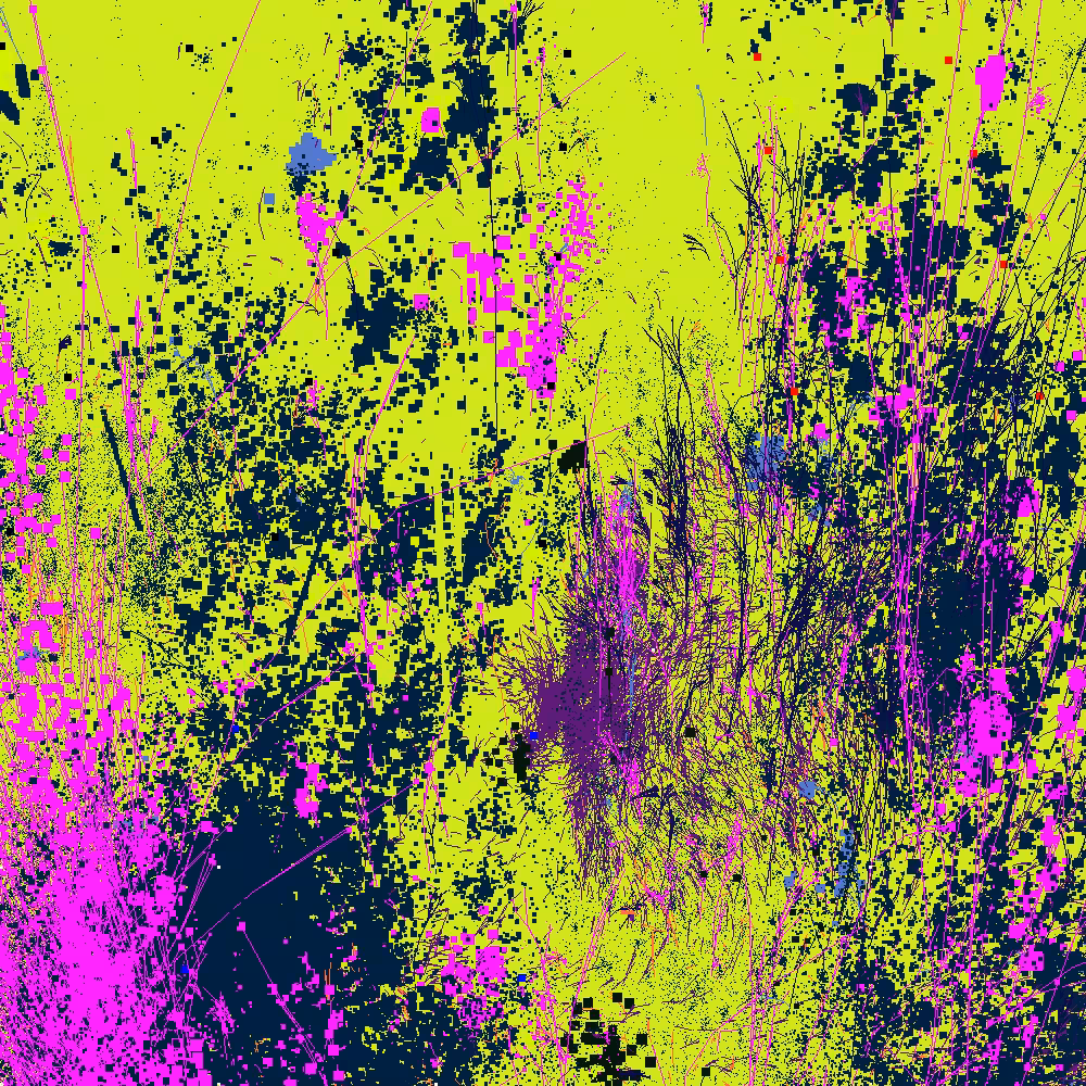 Infinite Garden: 64670 Flowers