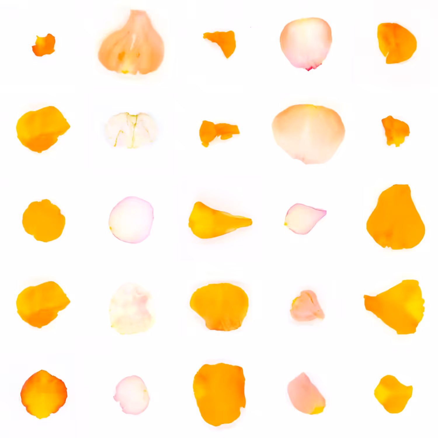 Infinite Petals 5x5#2430