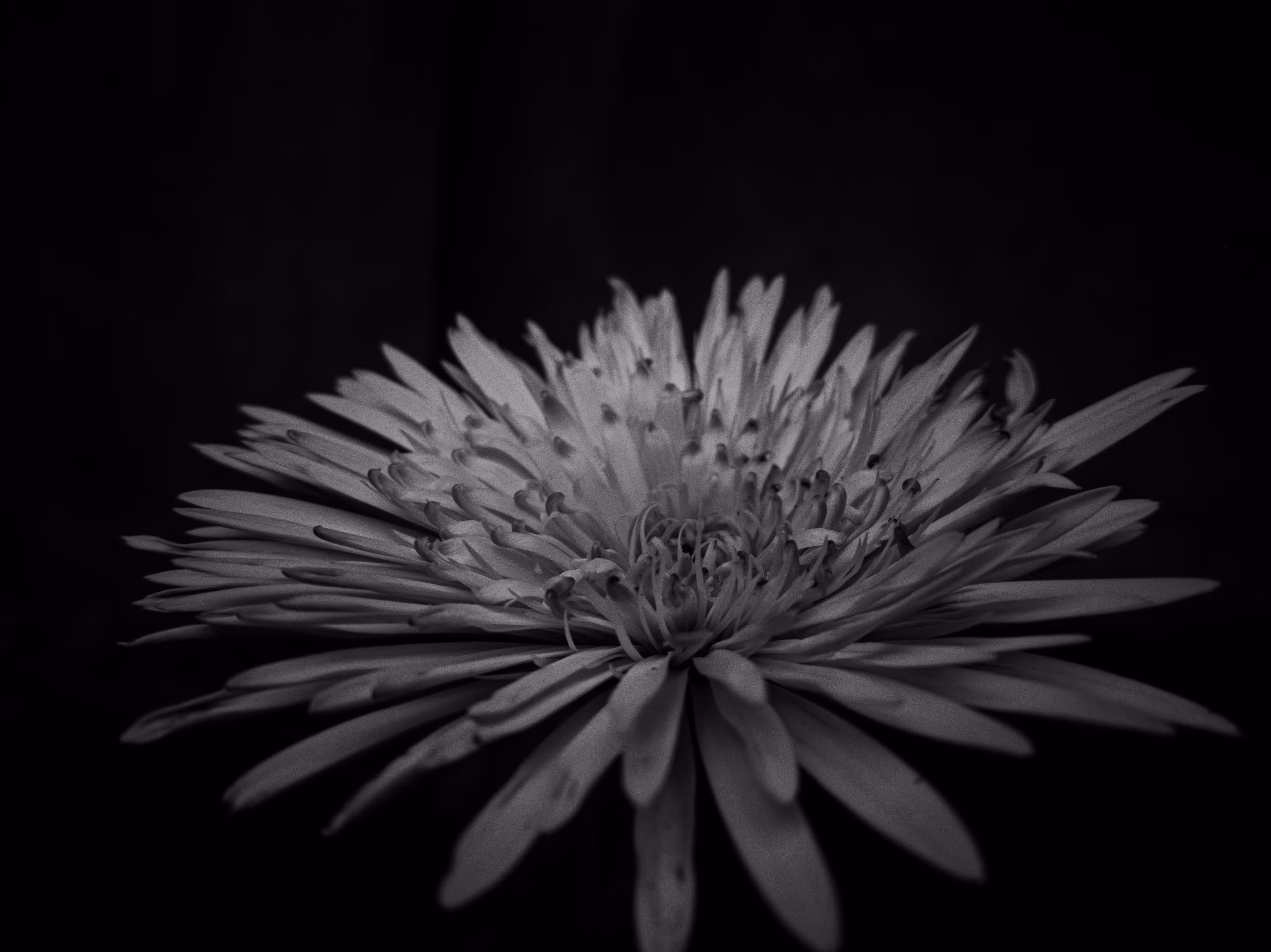 What I Saw