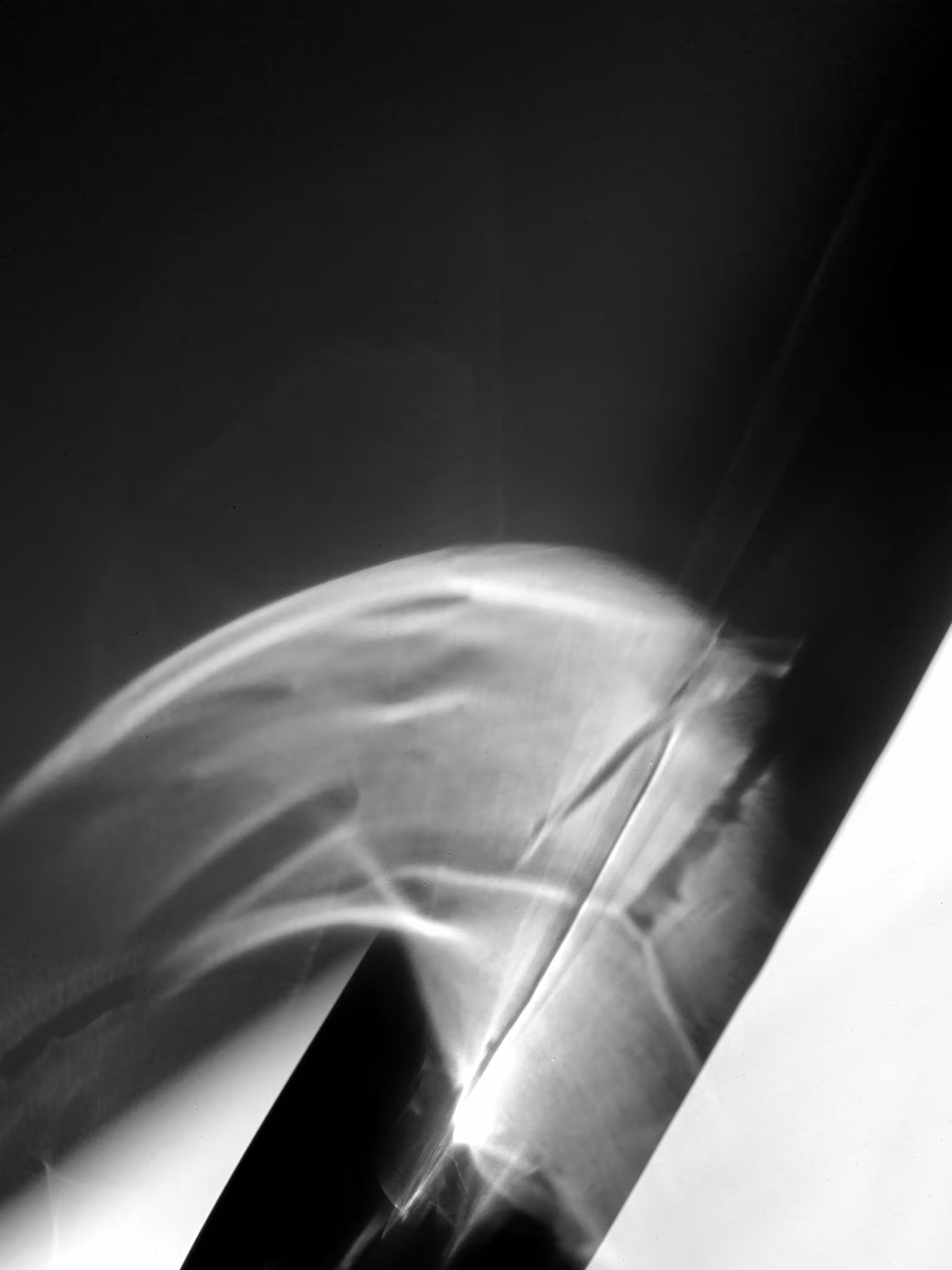 Generative daylight #34