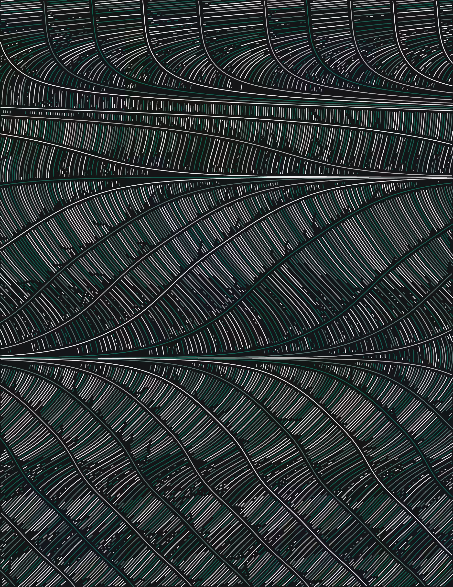 Streamlines #357