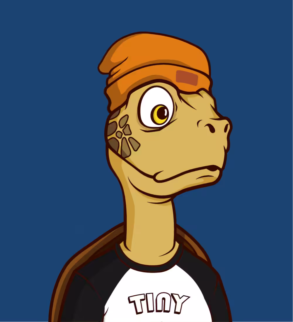 Tiny Turtle 178